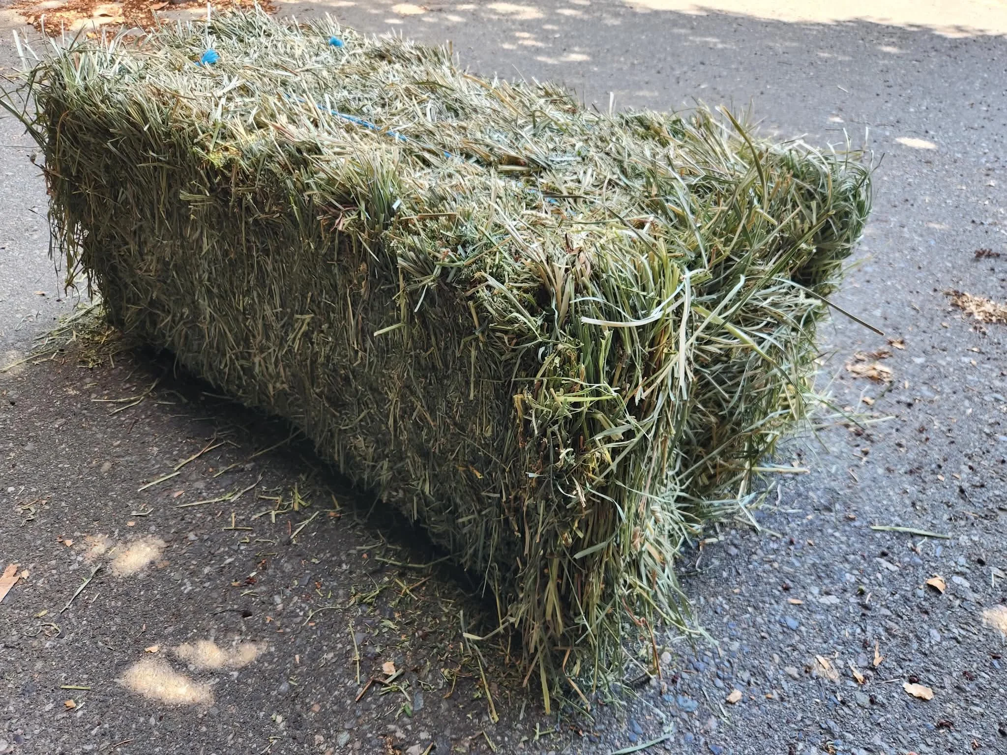 single bale.jpeg