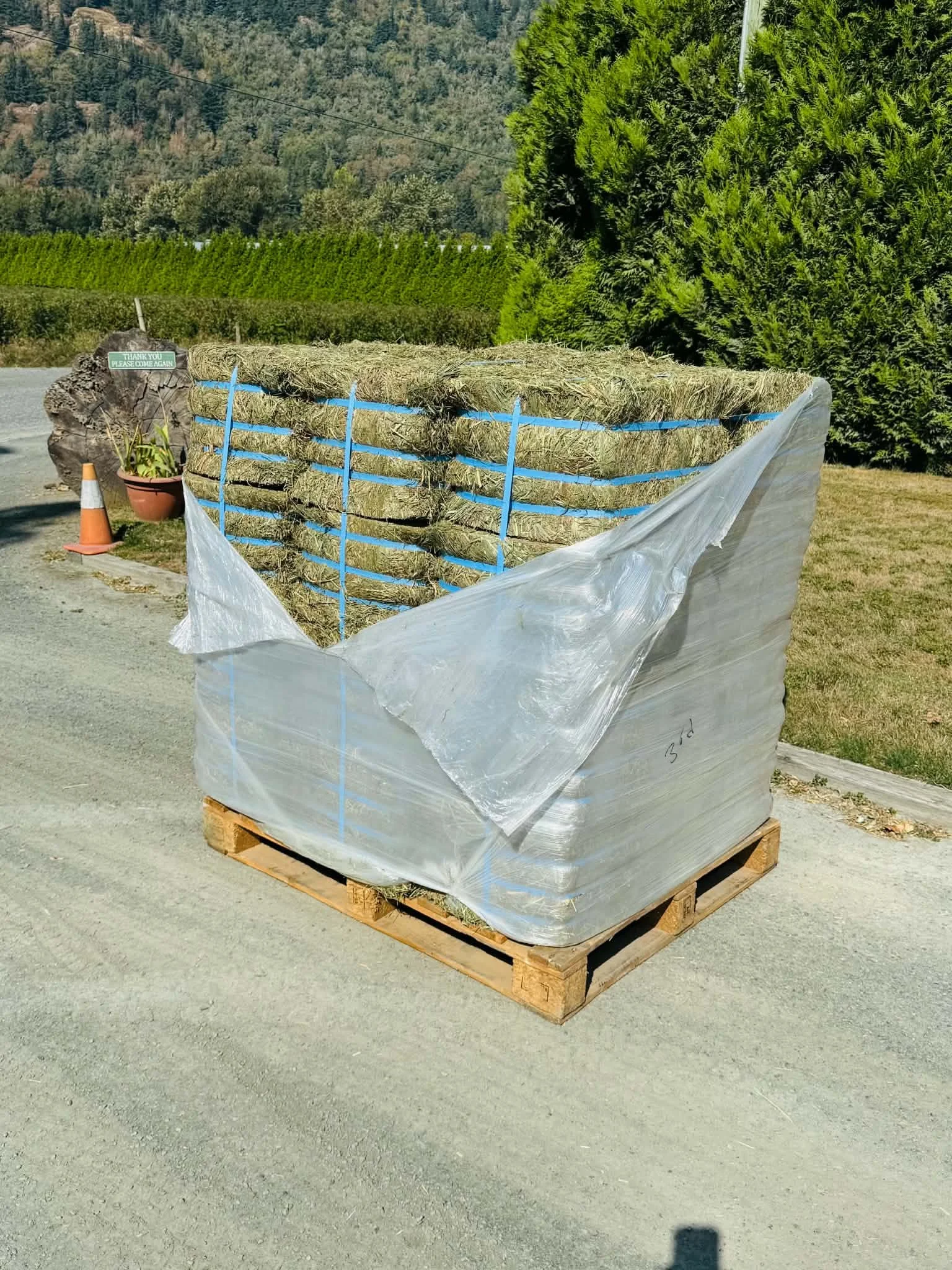 Compressed 3rd Cut Timothy (Goats, Sheep, Llamas)