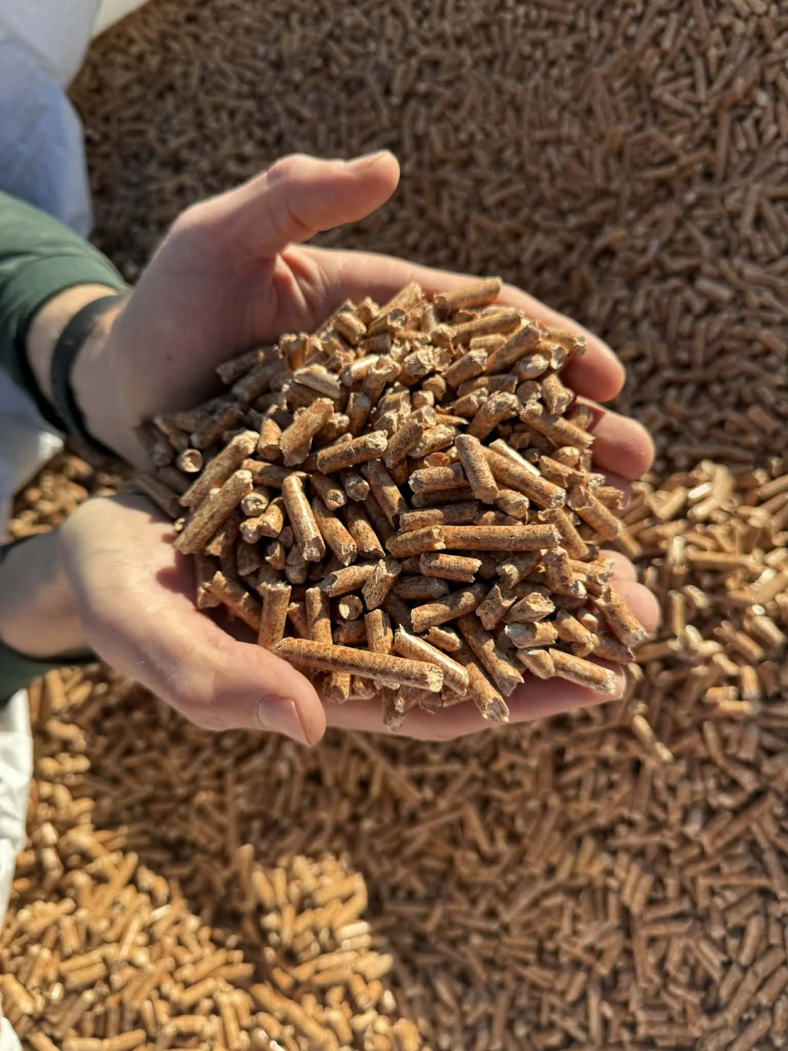 wood pellets texture shot.jpeg