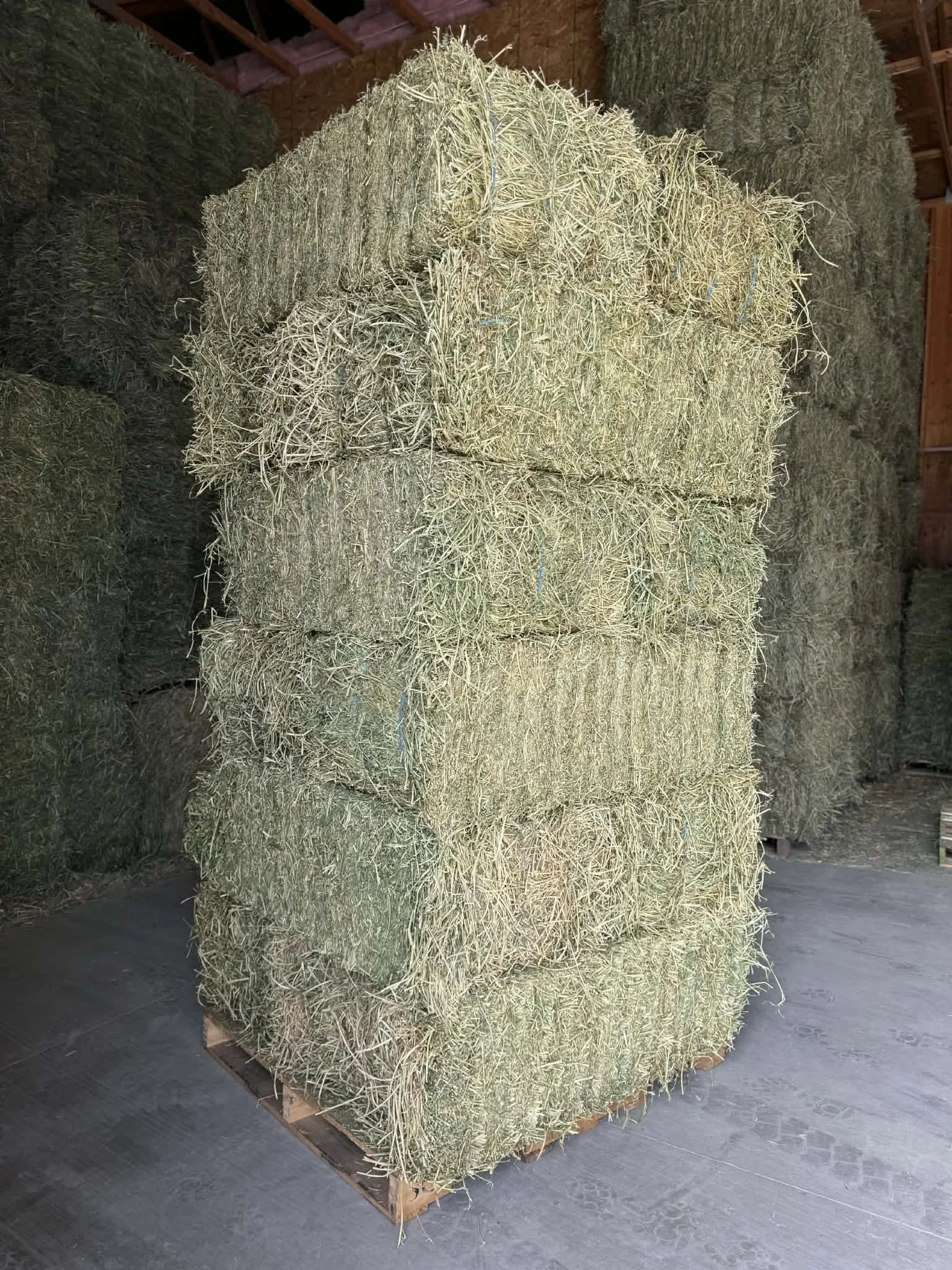 1st Cut Alfalfa  -  3-Tie