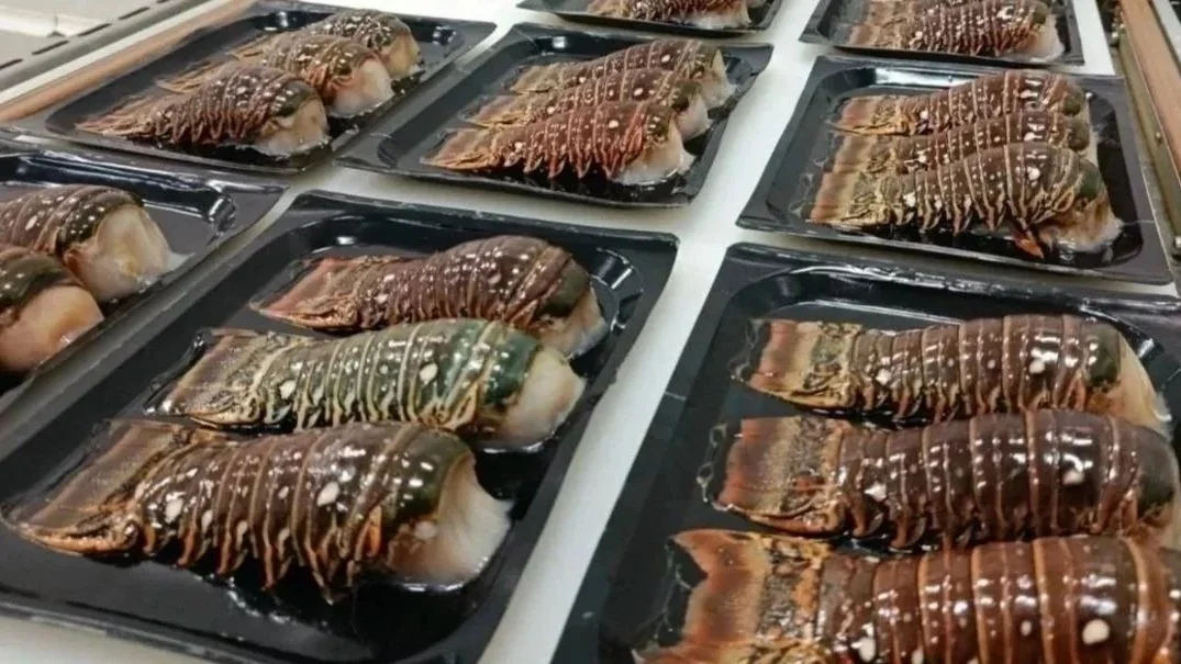 Lobster Tails, harvested , blast freeze, skin packaged all in the same day!!!!! 