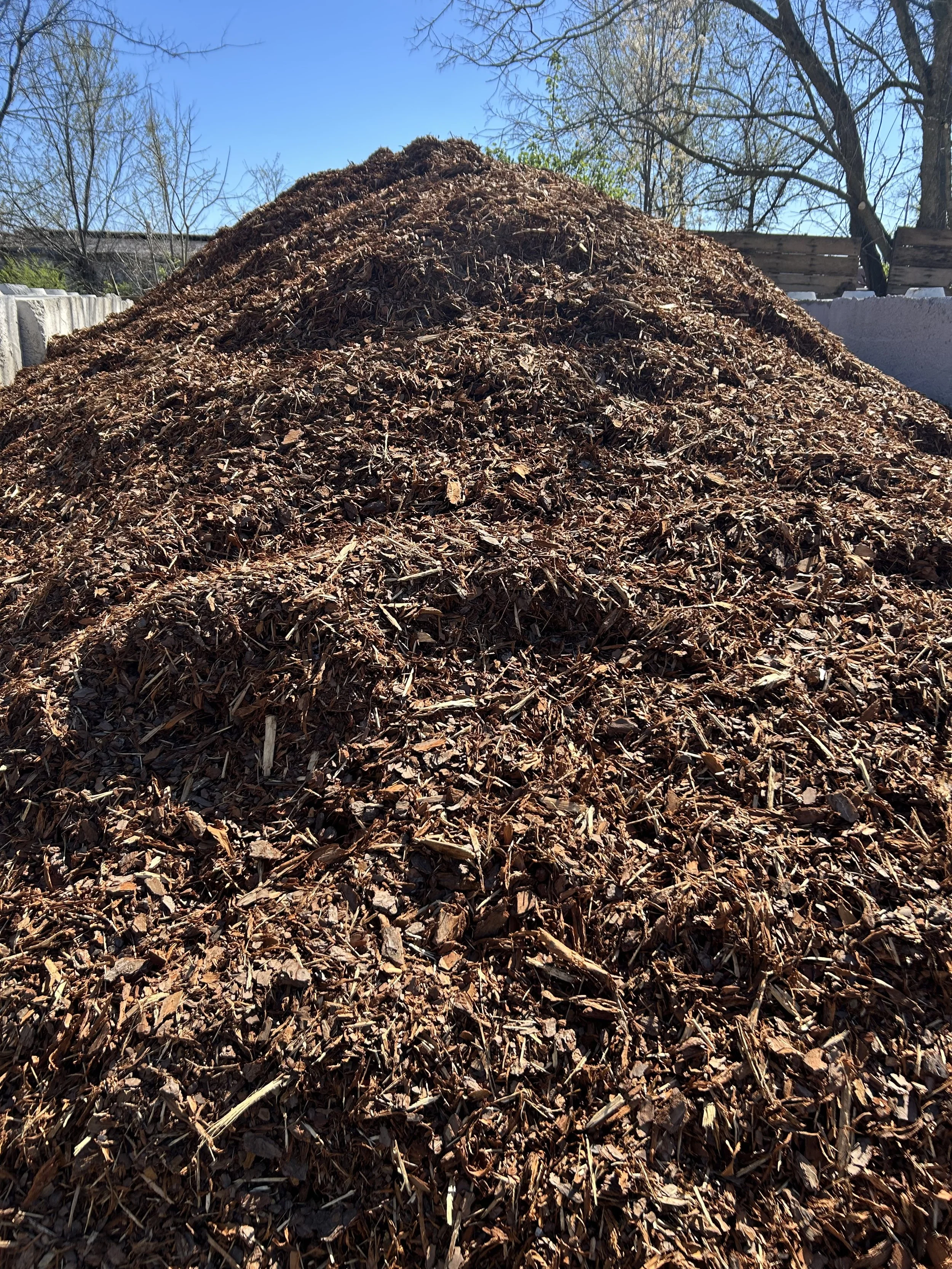 Natural Pine Mulch