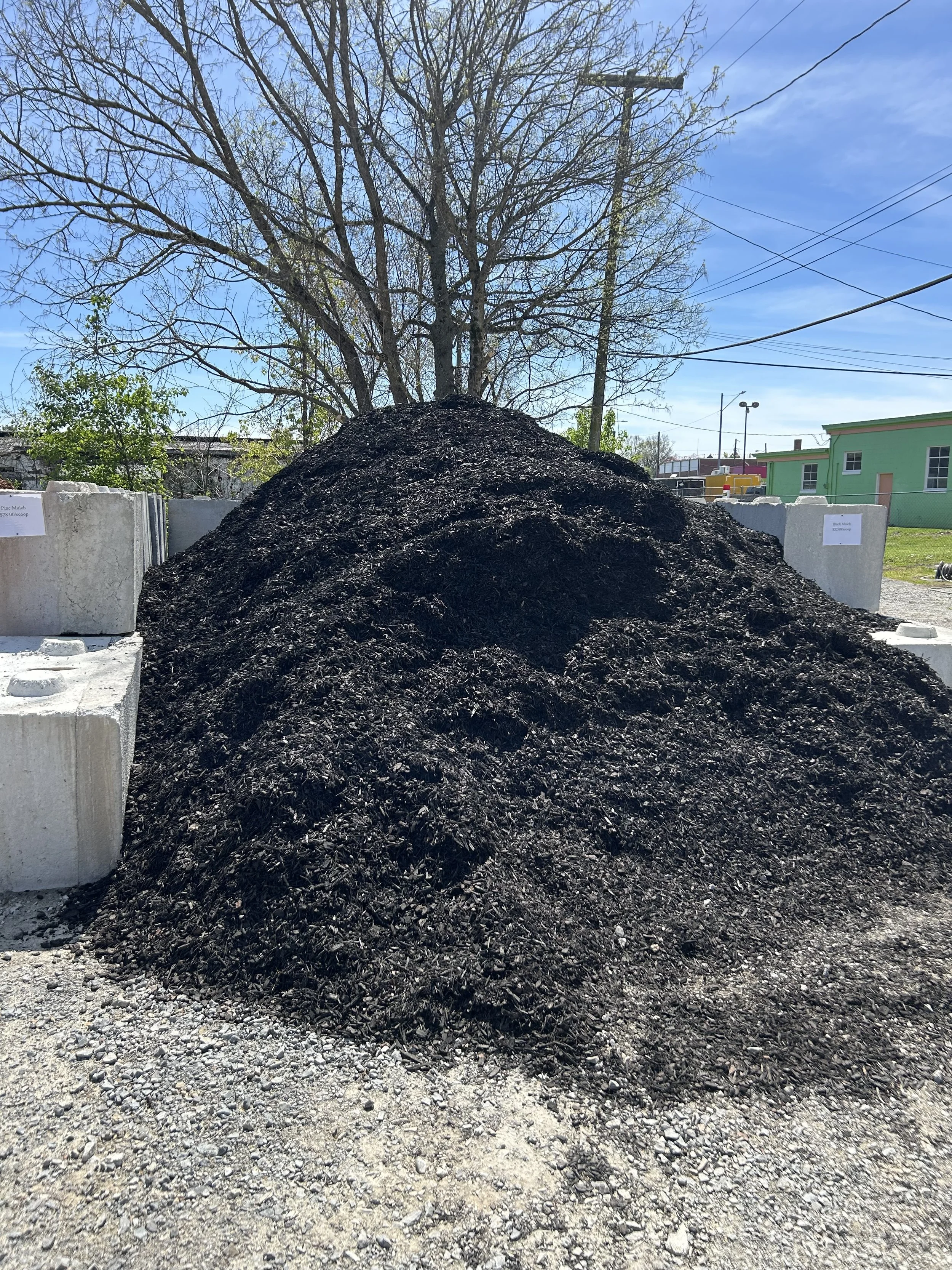 Black Mulch