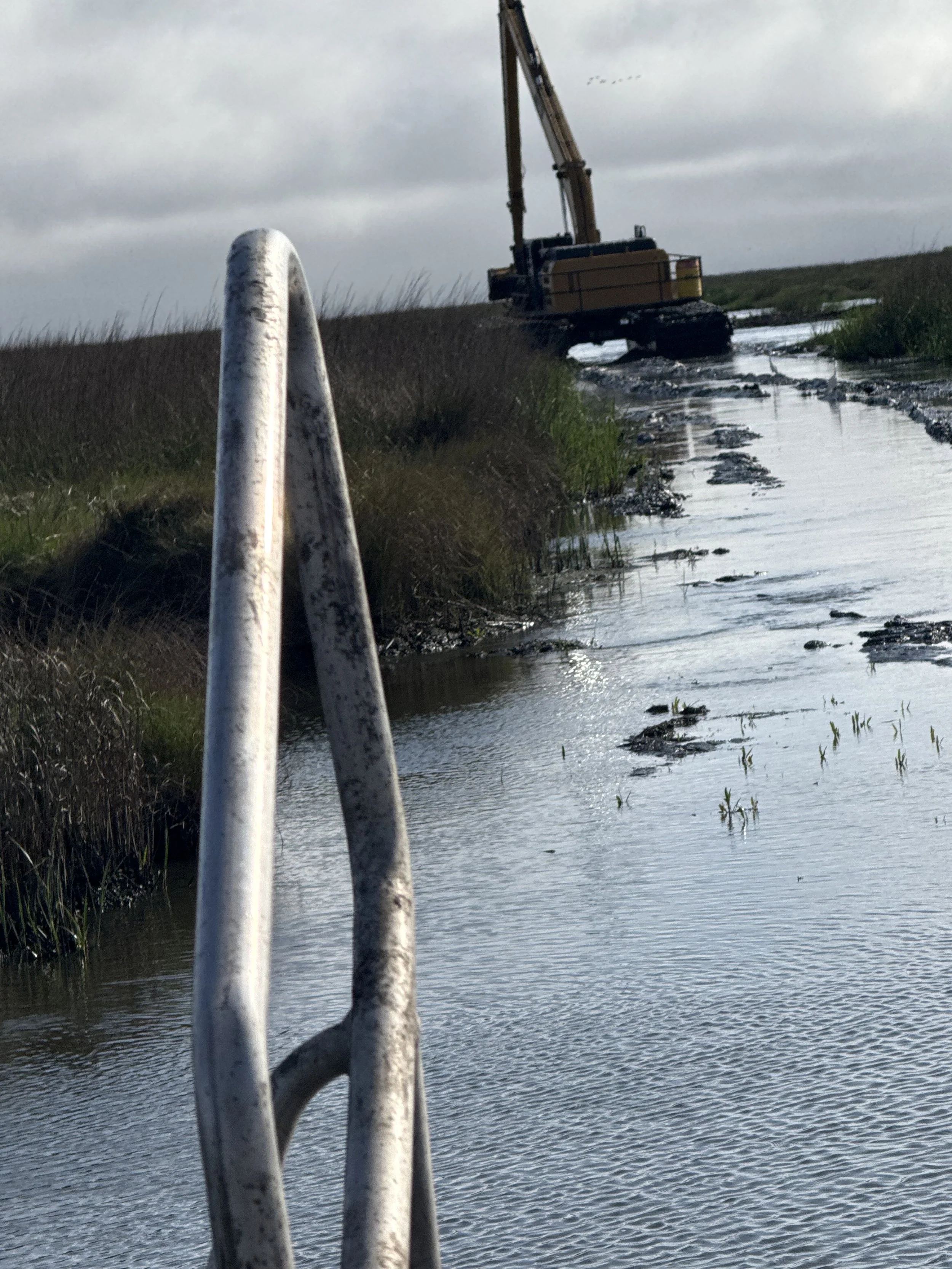 A marsh or wetland area with a pipe or ladder in the foreground, and in the background, a construction excavator working on the waterlogged terrain.