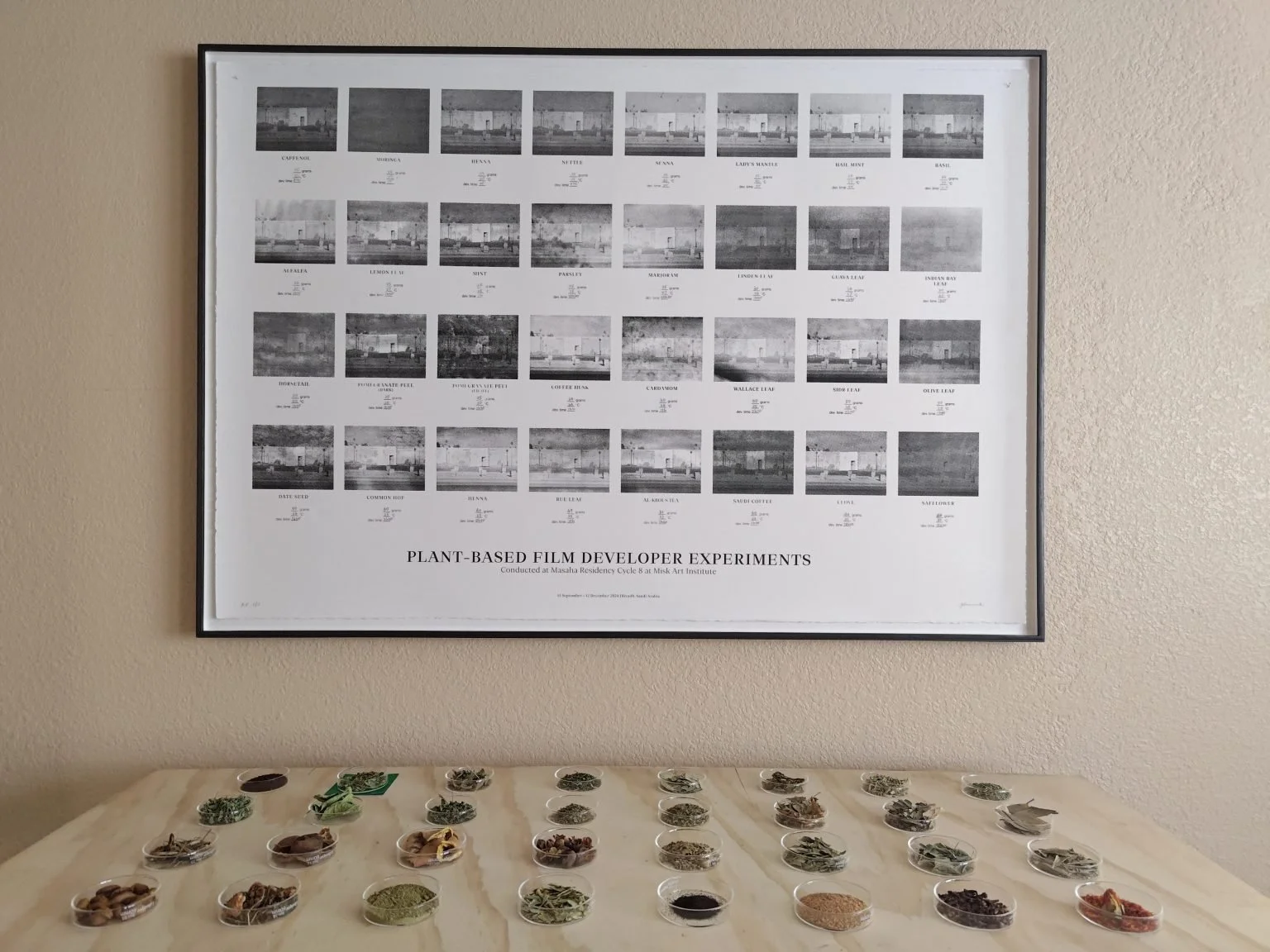 Plant-based Film Processing -Jolene Mok