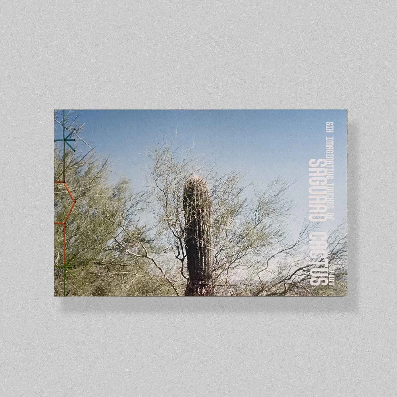 Six Imaginative Touches of Saguaro Cactus by Siu Ding