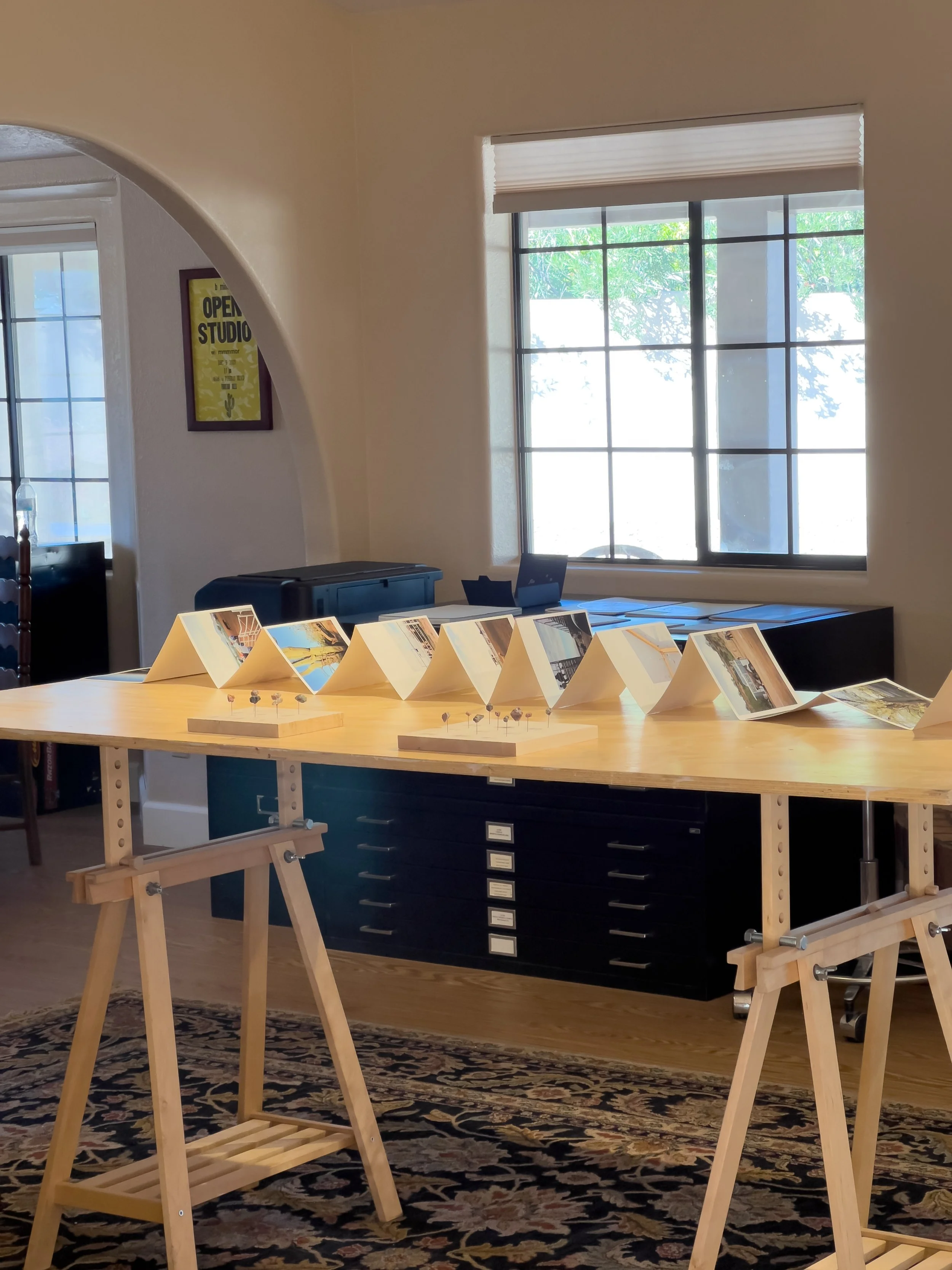 Hsu Wai Lun-Seeking Shade in the Desert