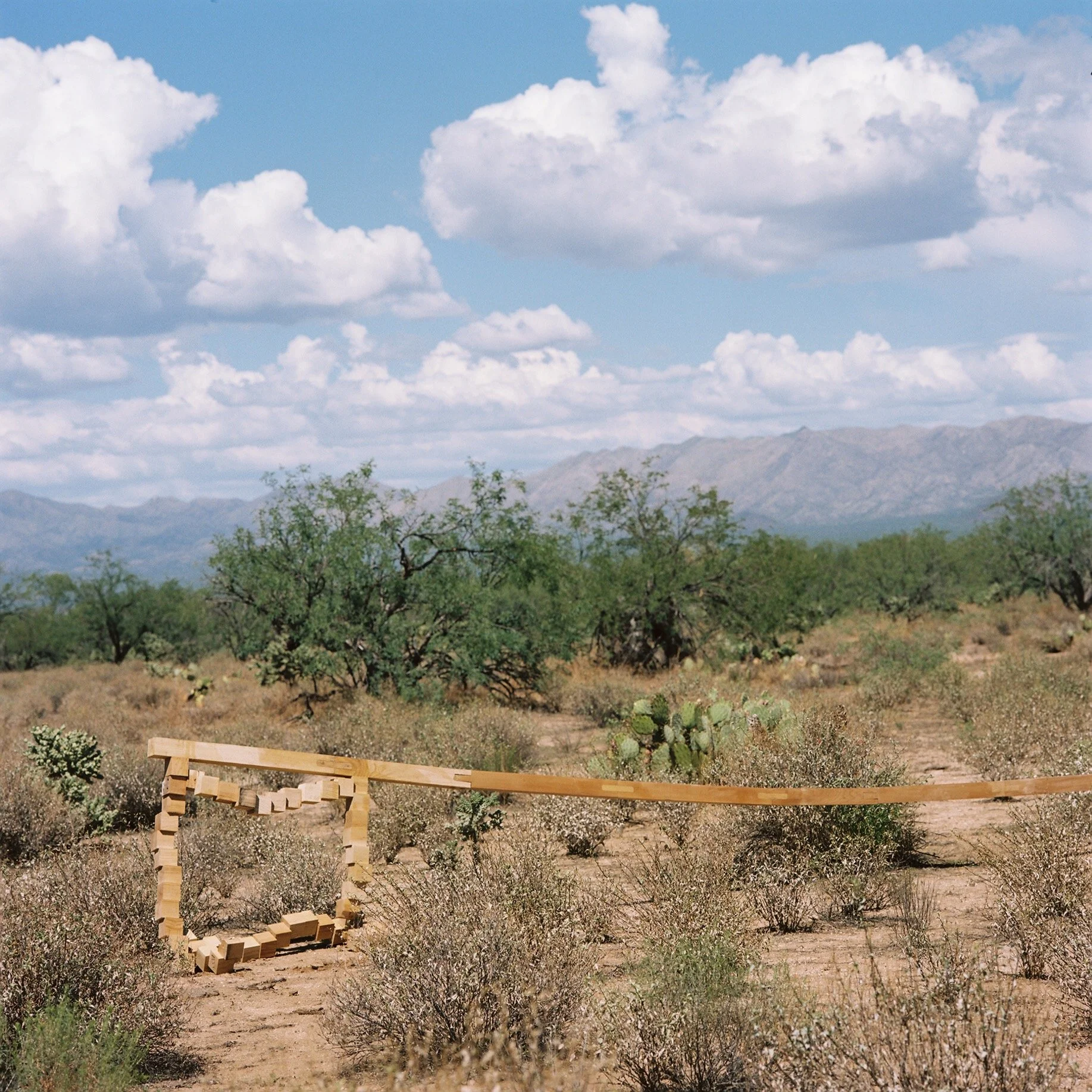 Tommy Man - The Flag