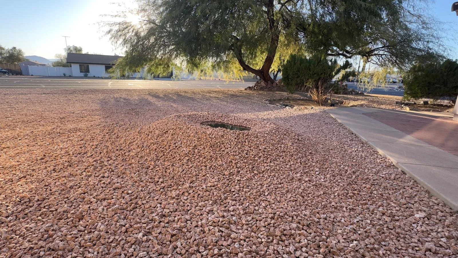 Michael Zheng - Waiting for Godot