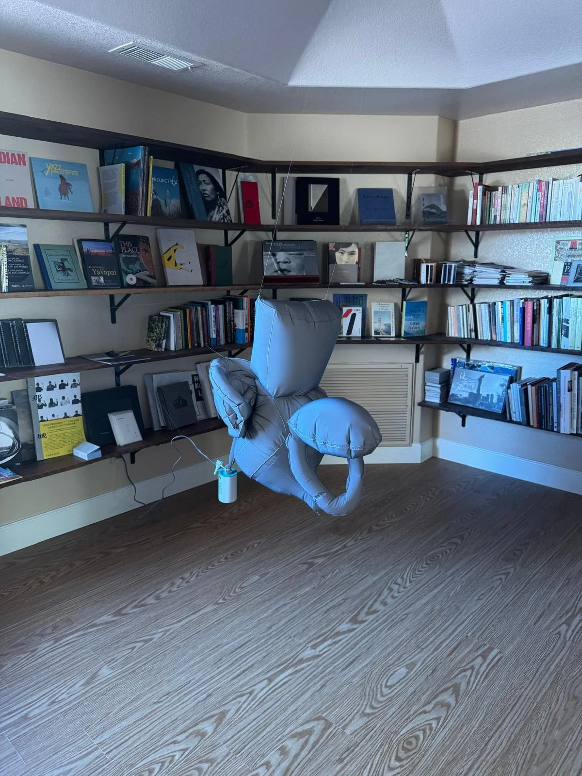 Lit Wing Hung- Still Life 2024: Made in USA Ratio 1:1 sewn with Singer heavy duty model 4432 reflective fabric, air in Arizona