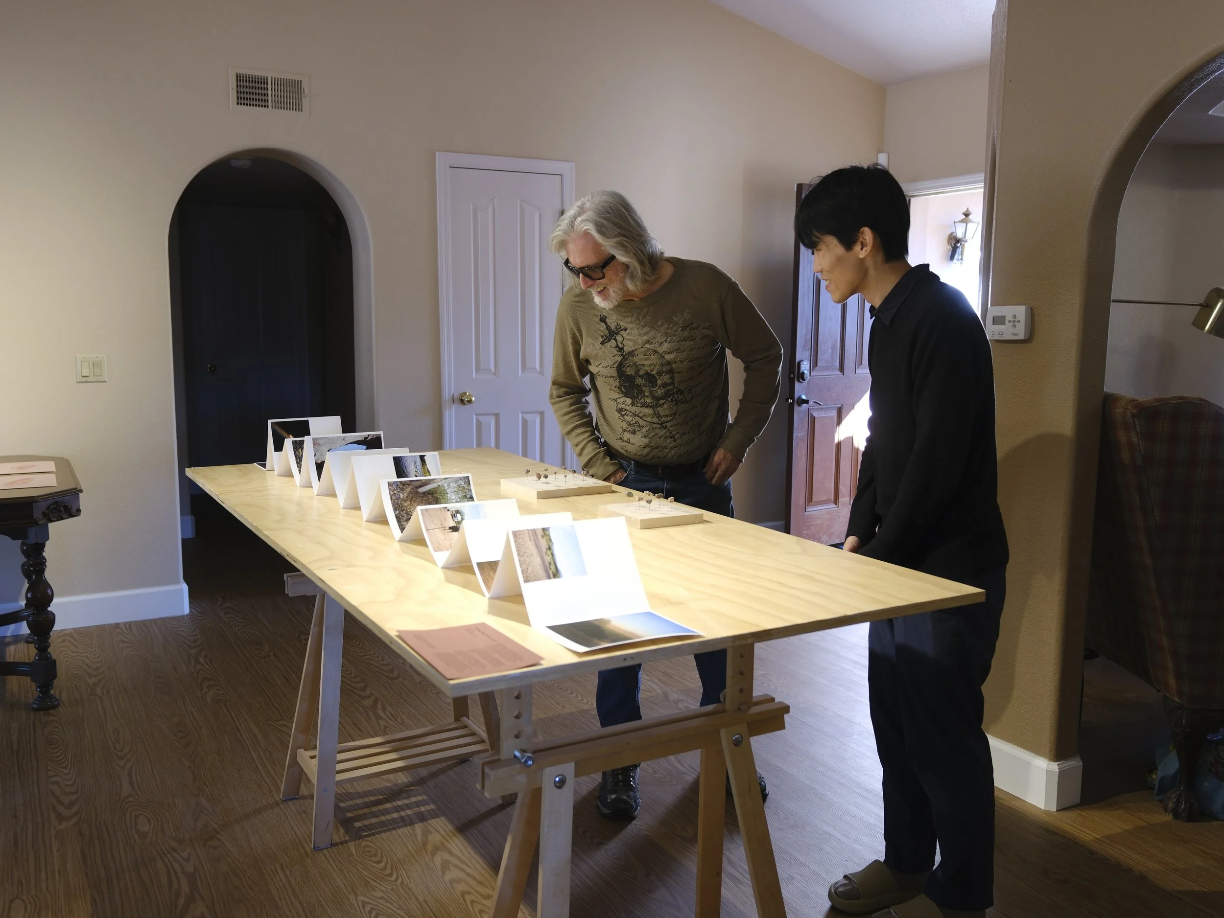 Hsu Wai Lun-Seeking Shade in the Desert