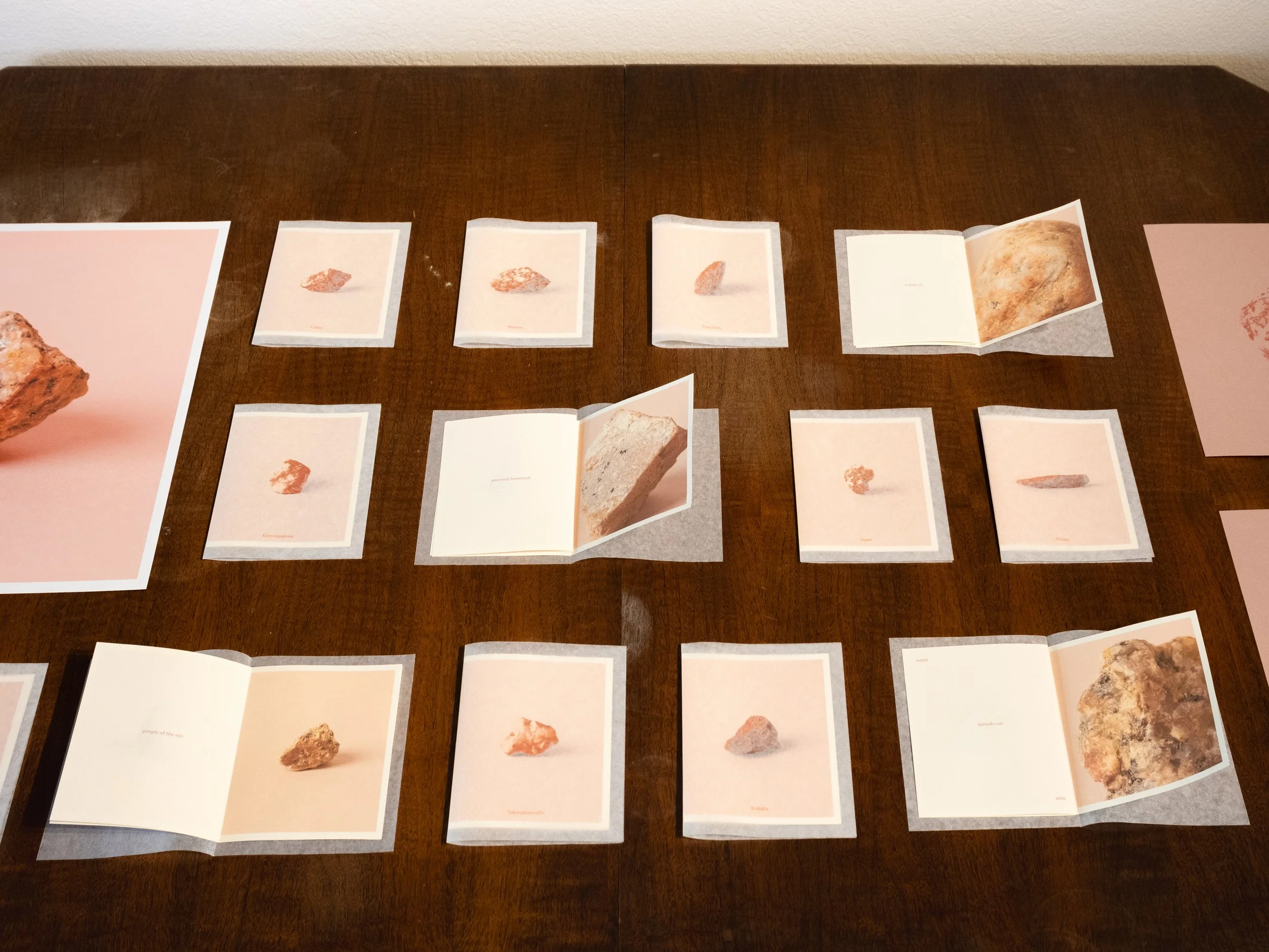 Somely Lai Ping So-Up in the Mountain, Down in the Desert