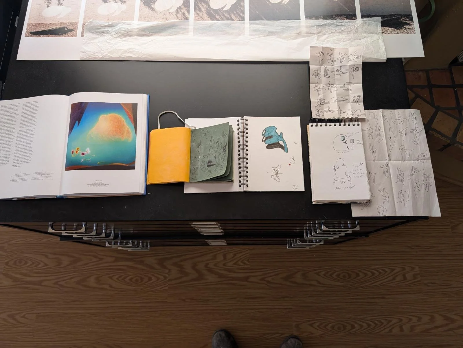 Dylan Fitzgibbons - Guides