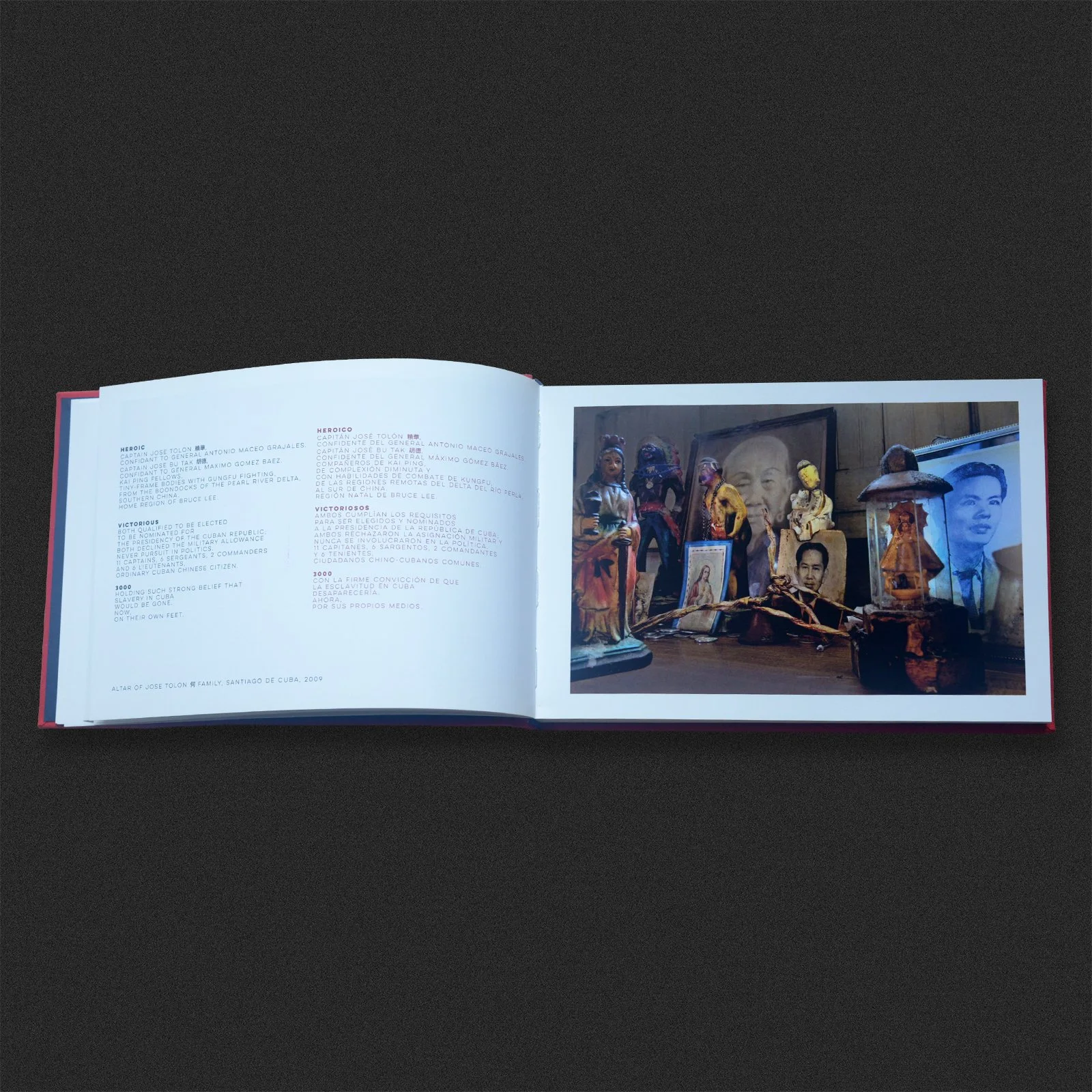 Pok Chi Lau's Book - Barrio Chino