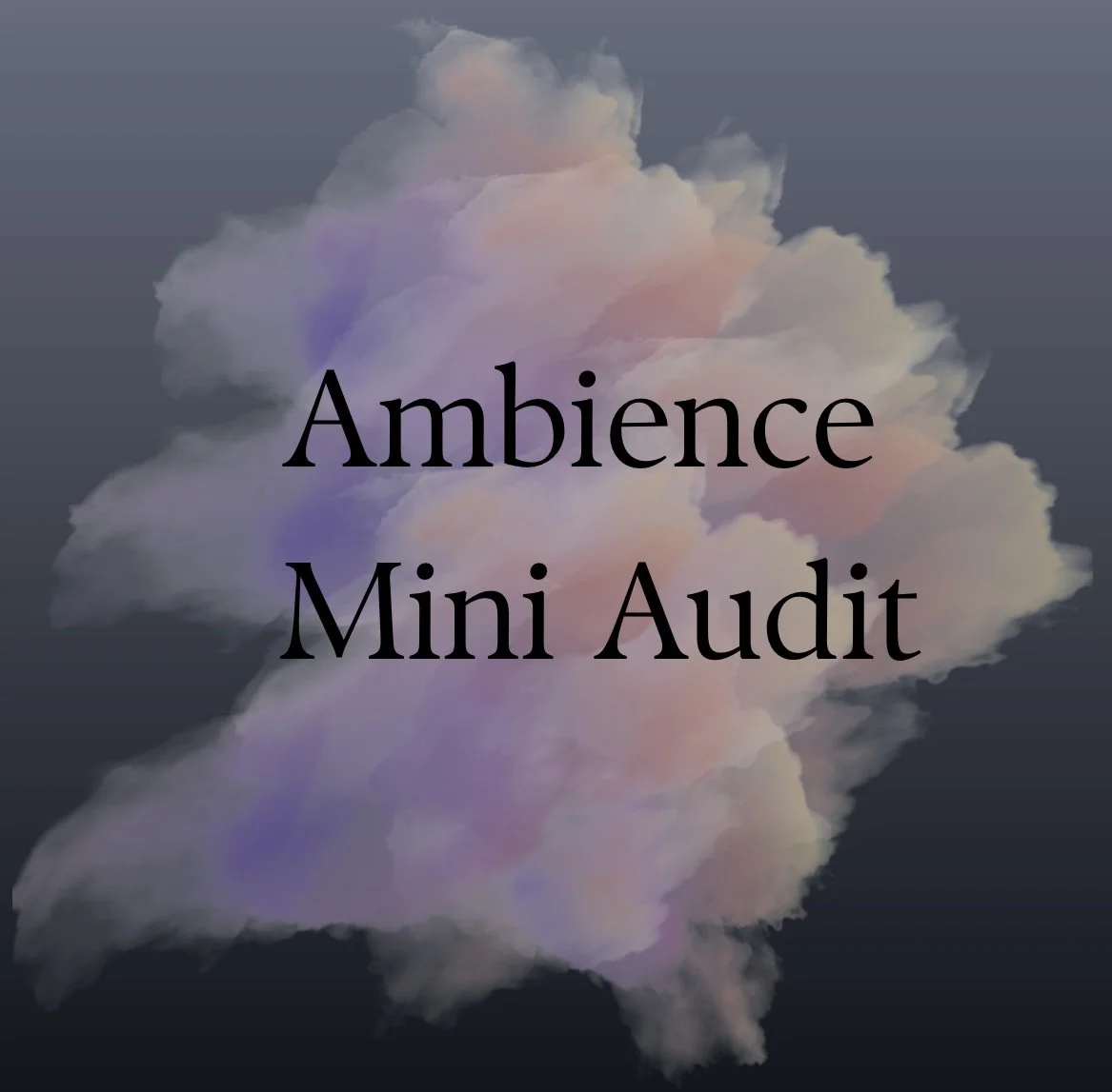 Ambience Mini Audit
