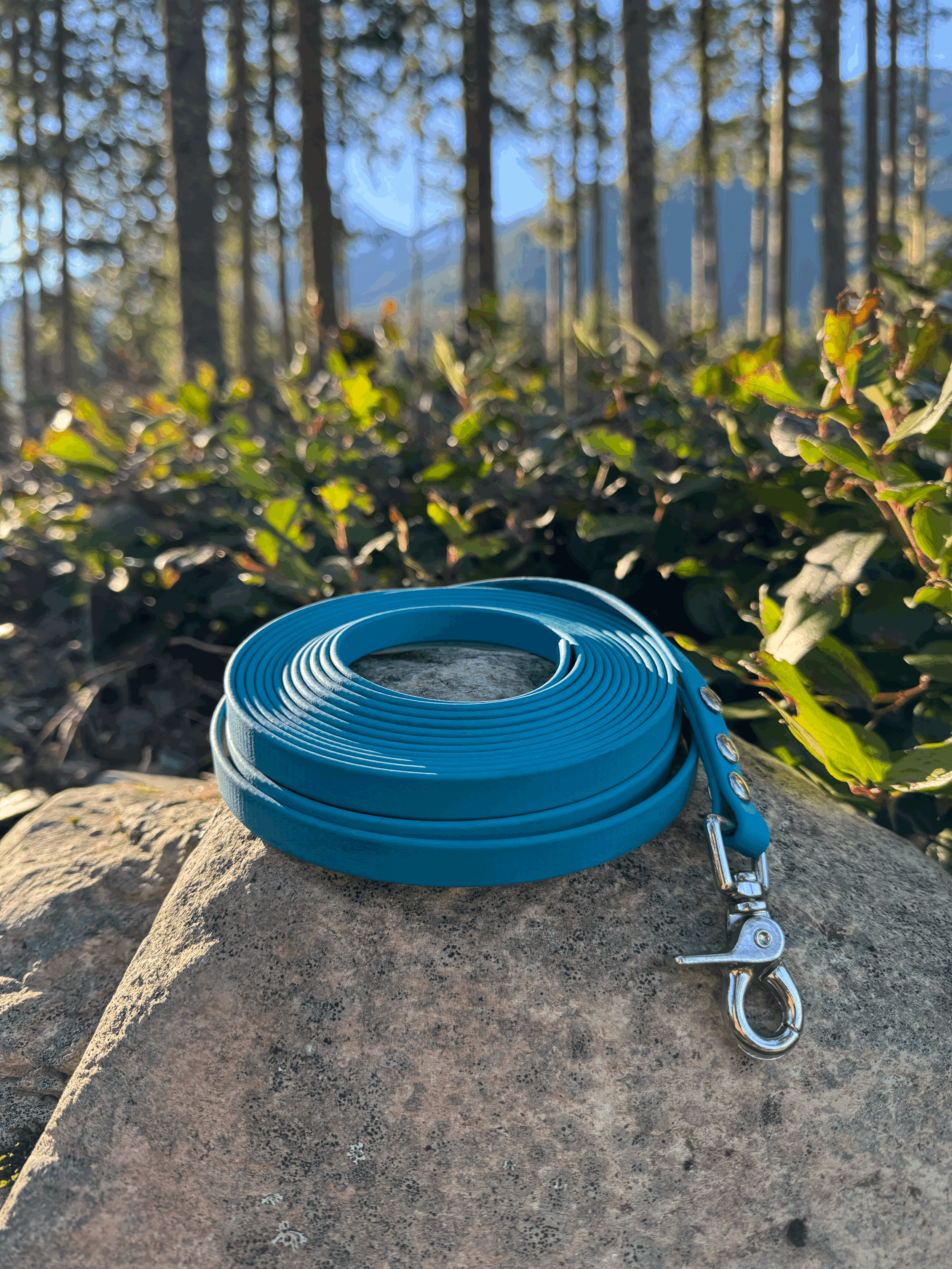 10' Biothane Long Line for Dogs