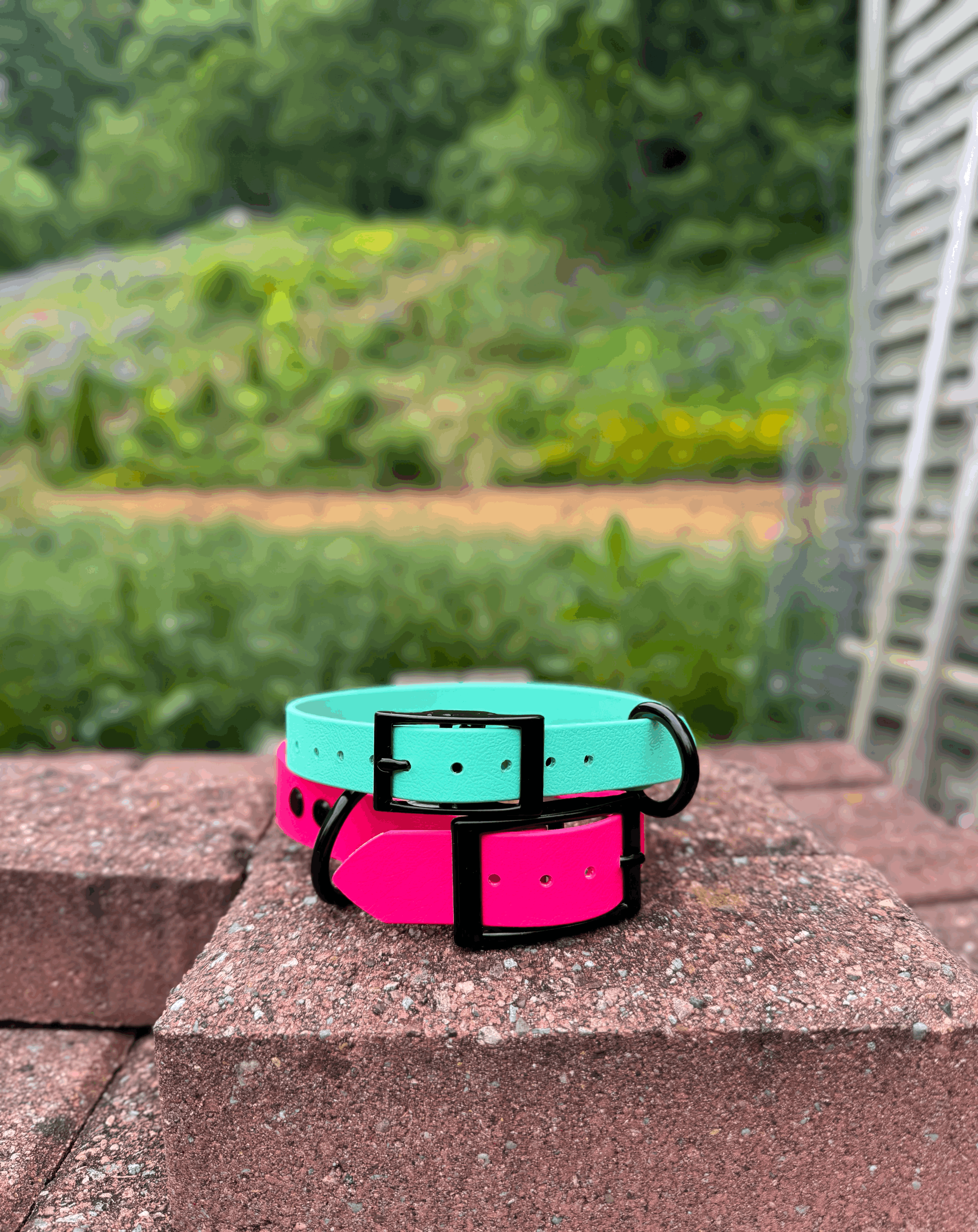 Medium Biothane Buckle Dog Collar