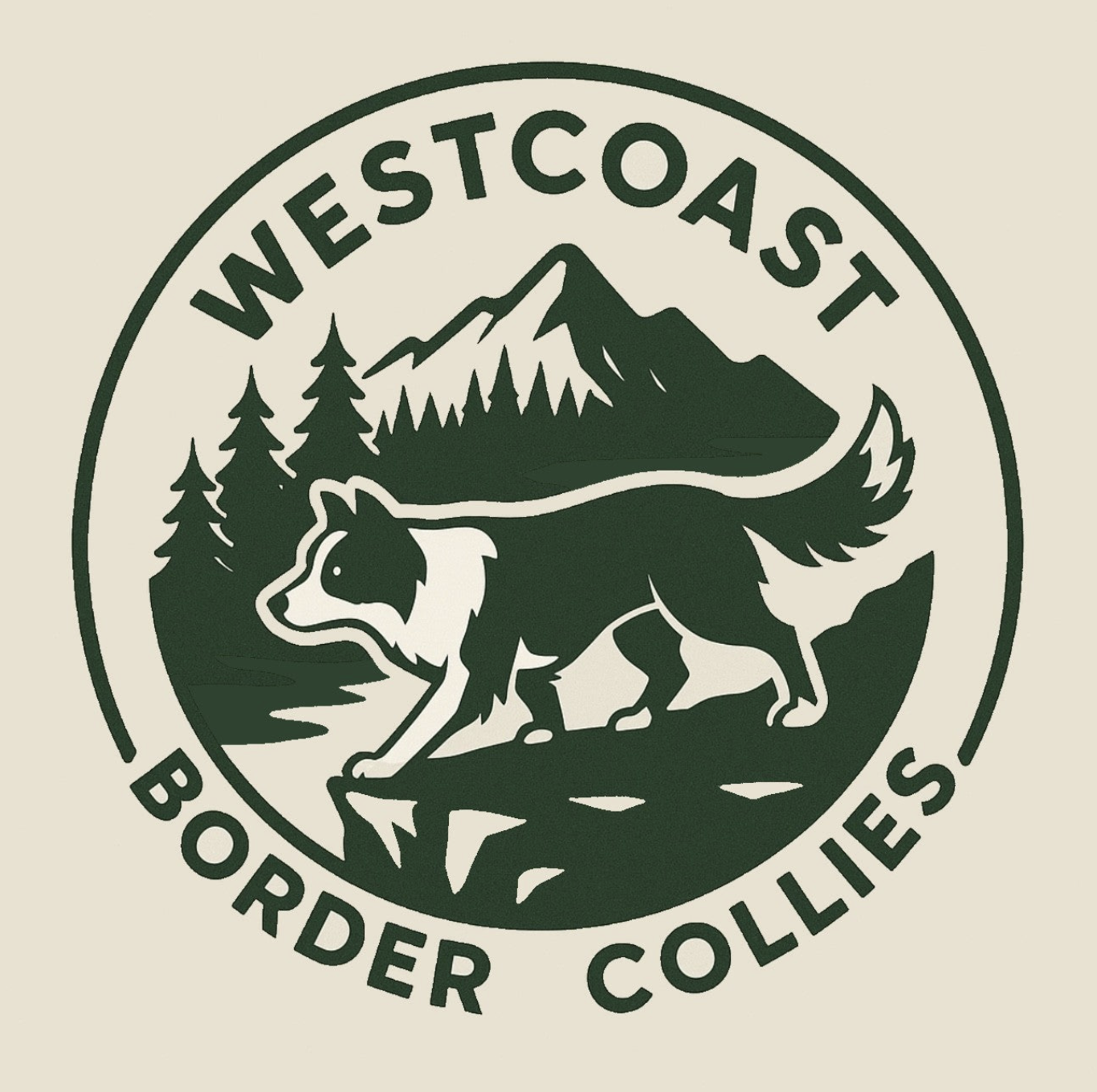 West Coast Border Collies Club Decal