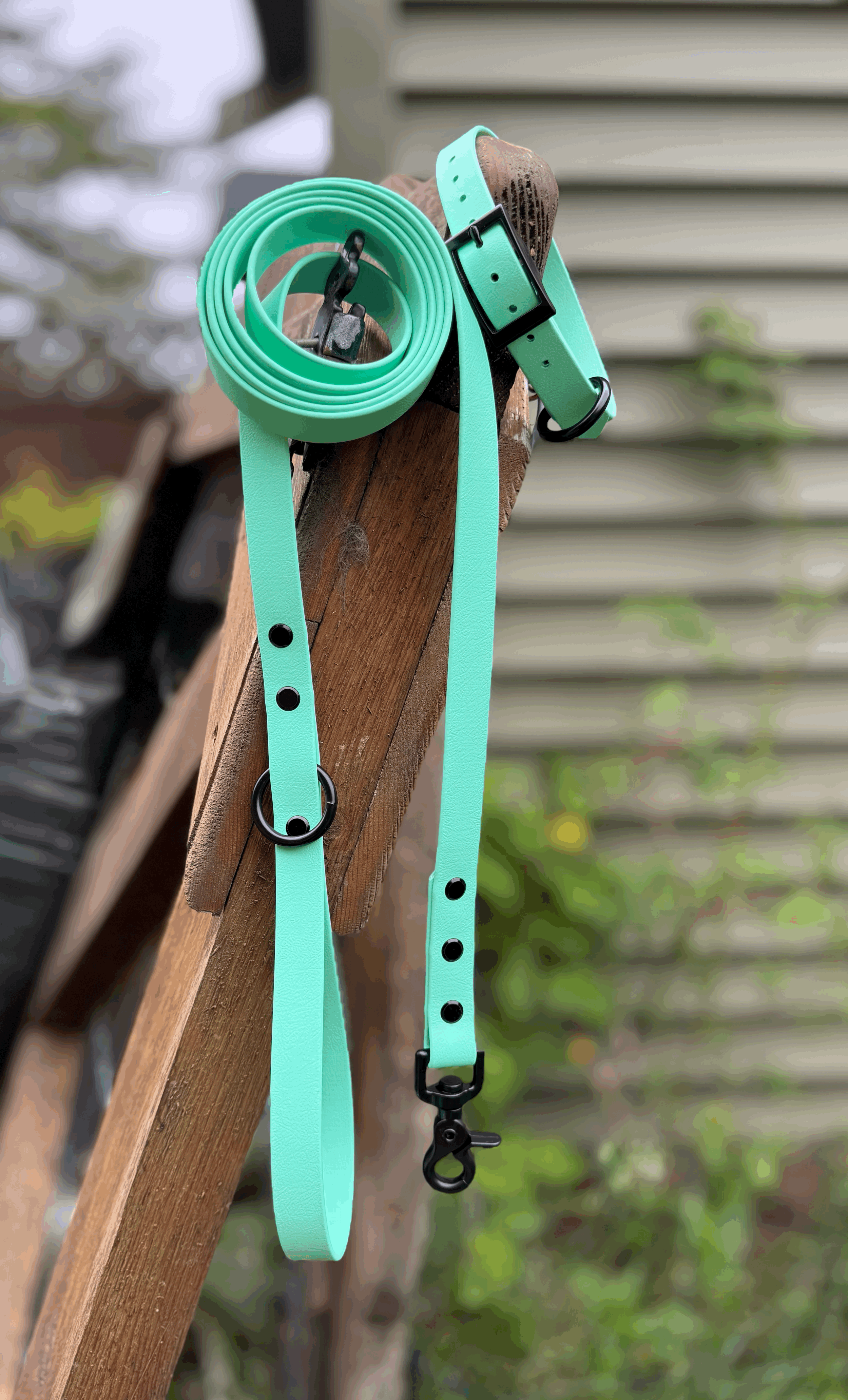 6' Traditional Biothane Dog Leash