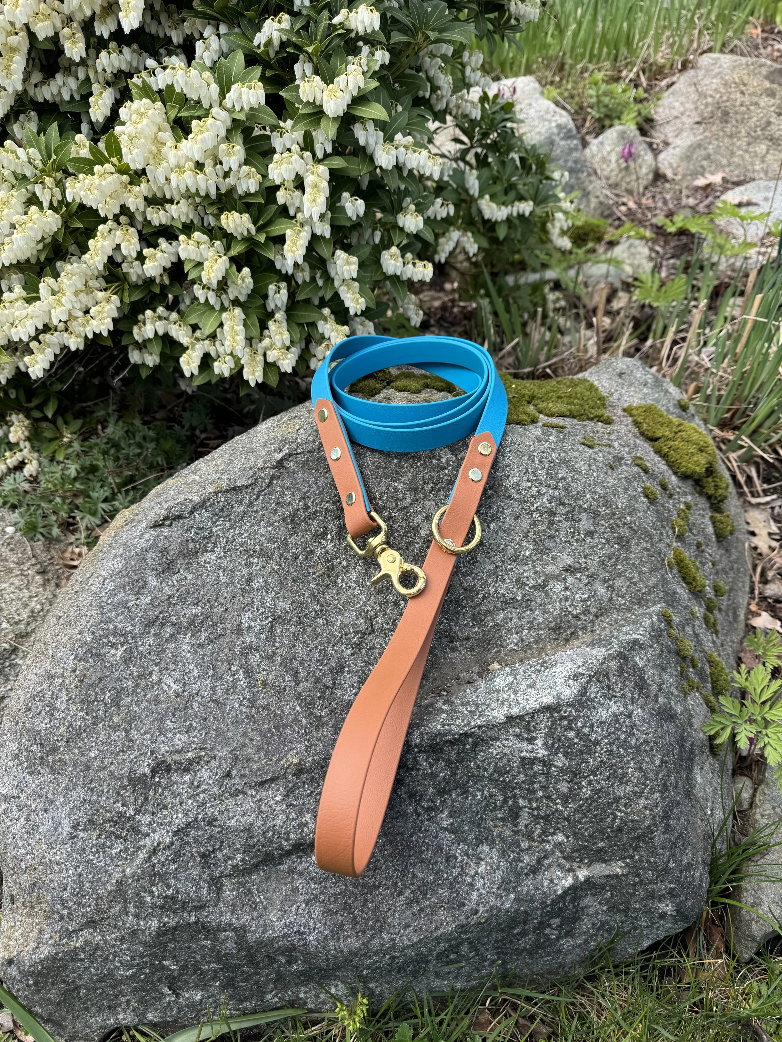 6' Two Tone Biothane Dog Leash