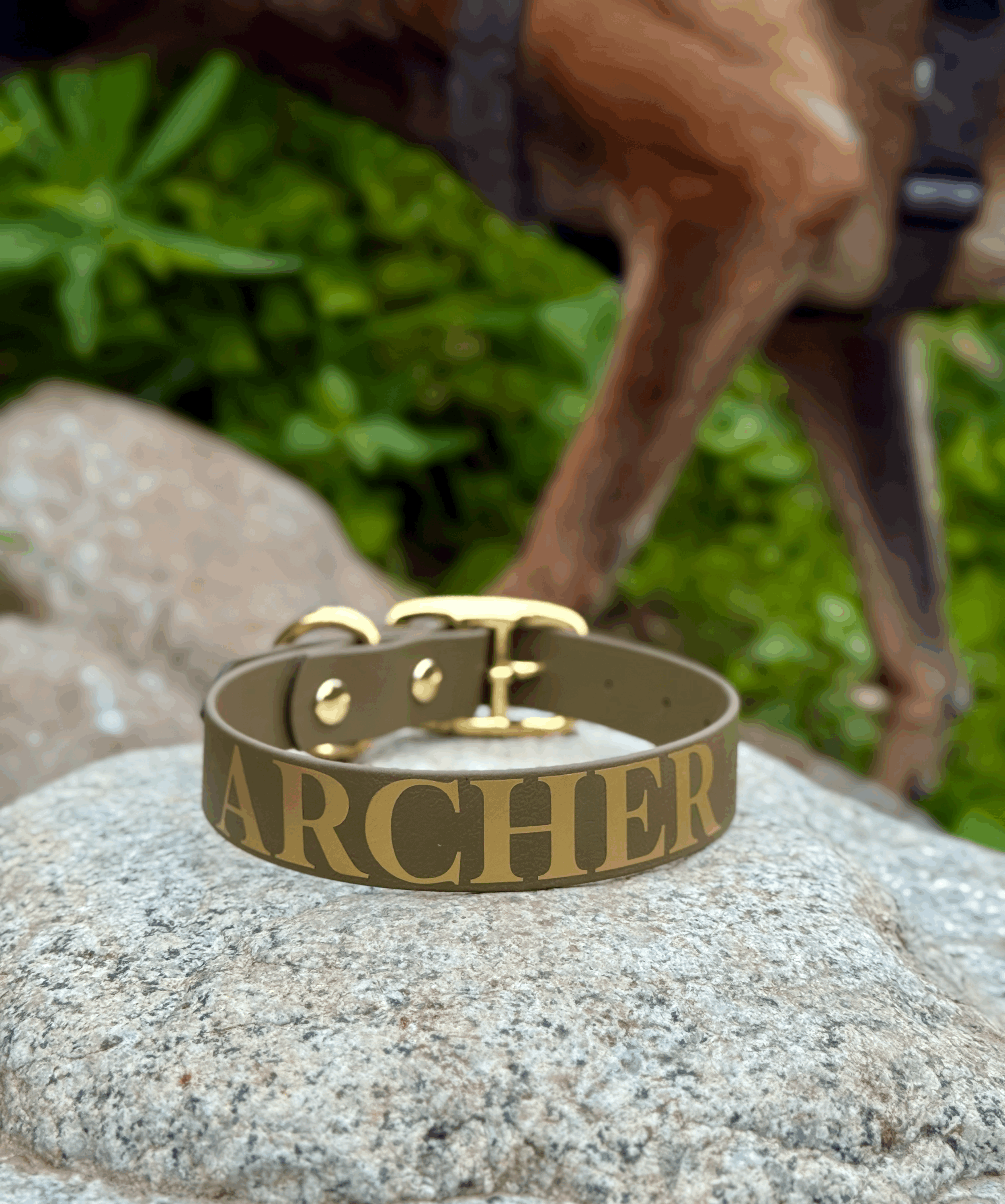 Custom Collar Text Add On