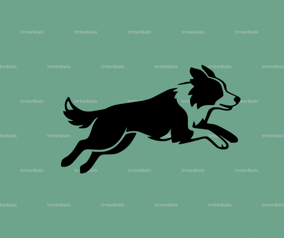 Border Collie Decal
