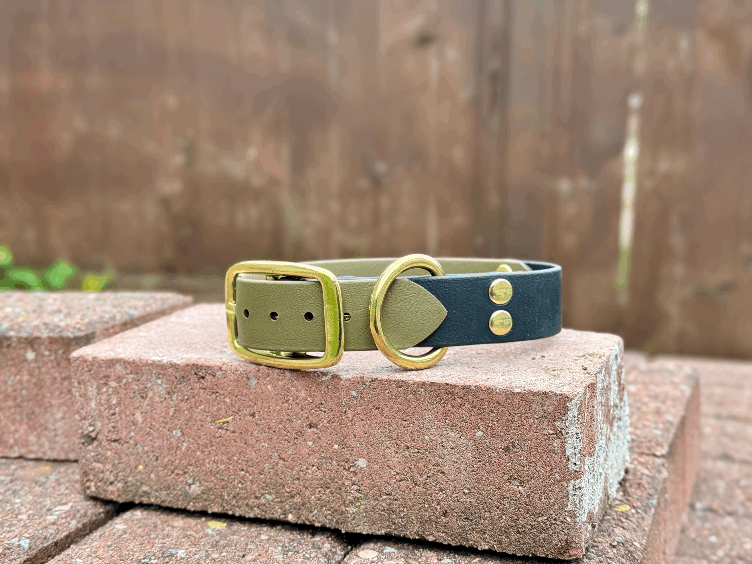 X-Large Two Toned Biothane Buckle Dog Collar