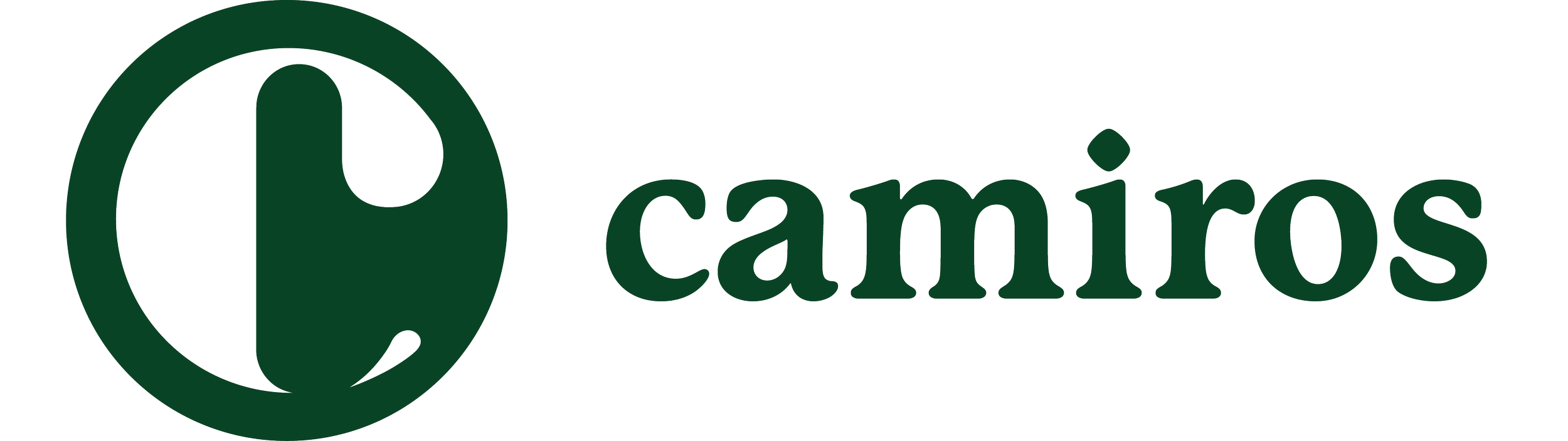 Camiros Logo