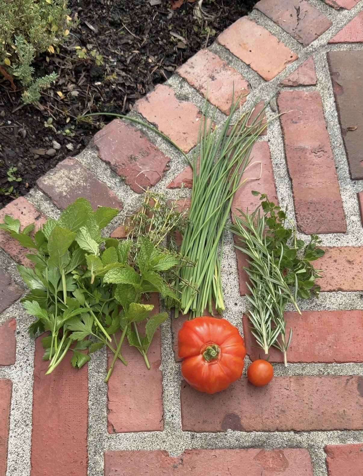 Garden-grown herbs and tomatoes