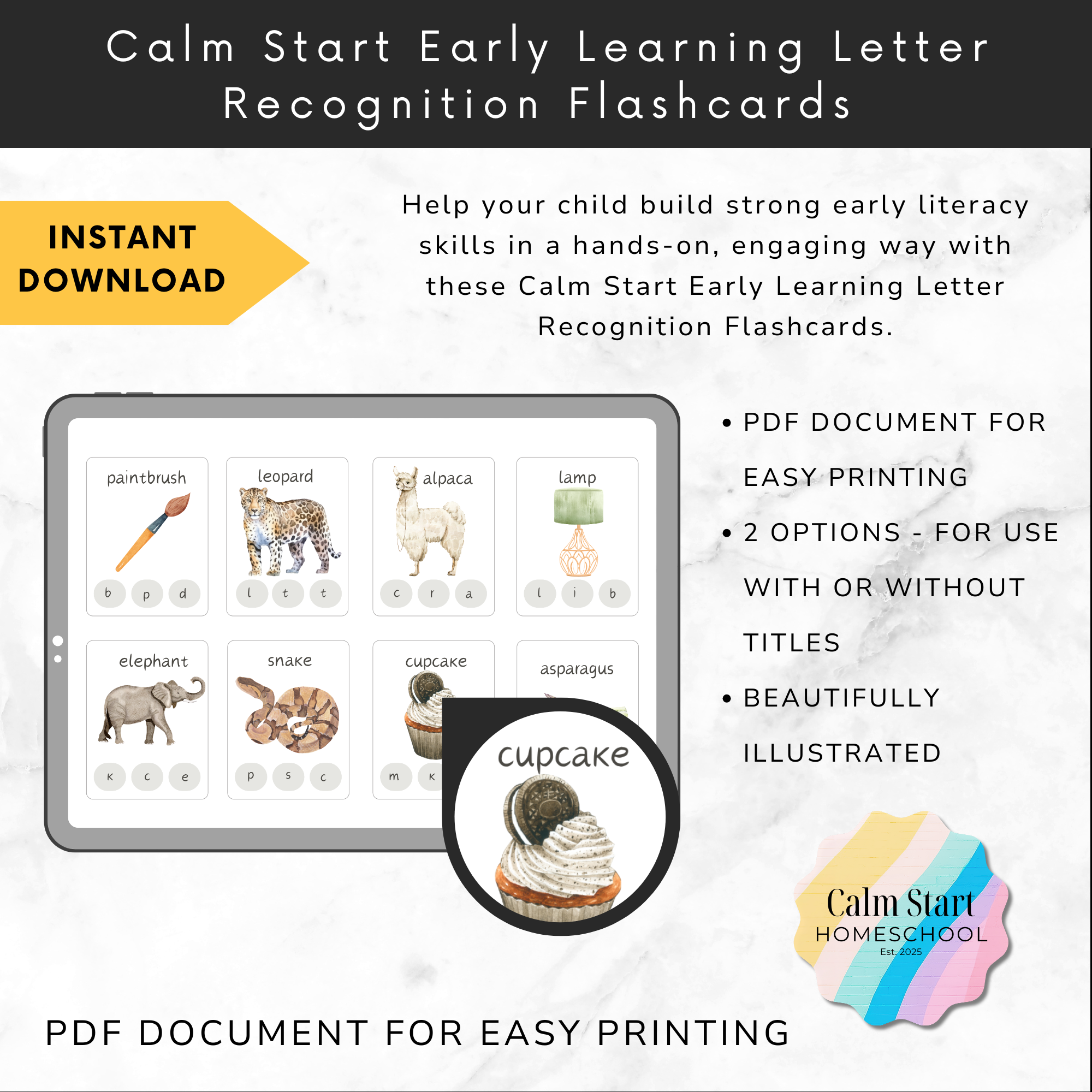 Early Learning Letter Recognition Flashcards
