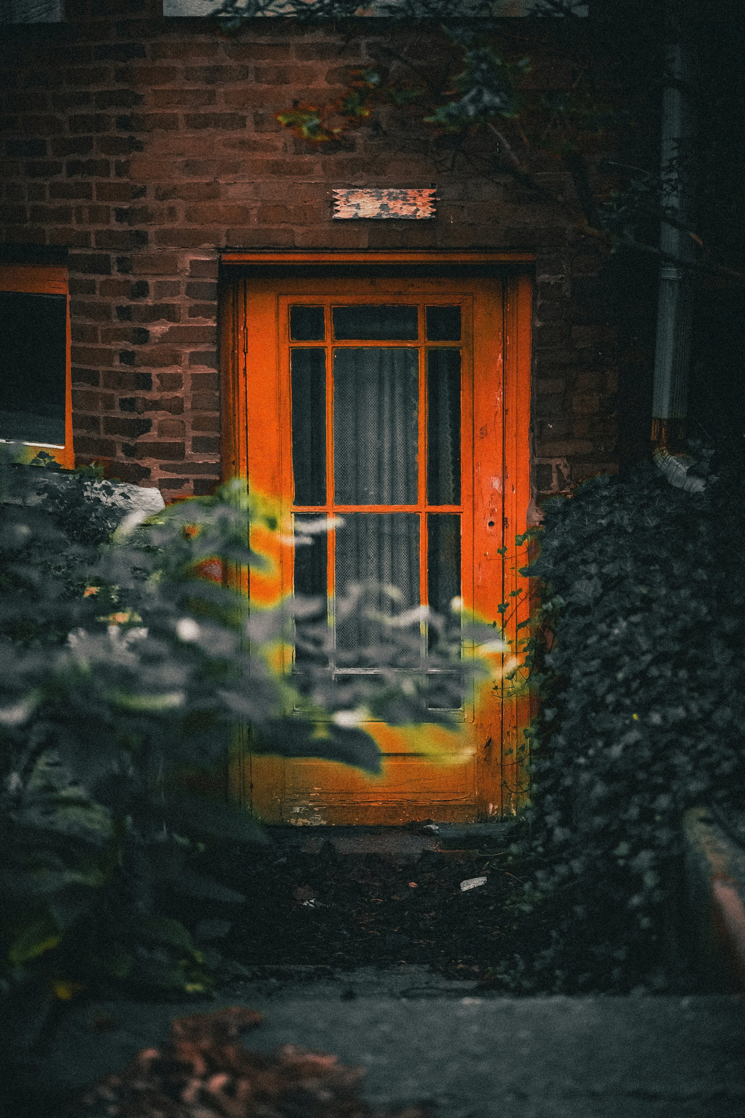 jadon-johnson-56uRjU3K-4M-unsplash.jpg