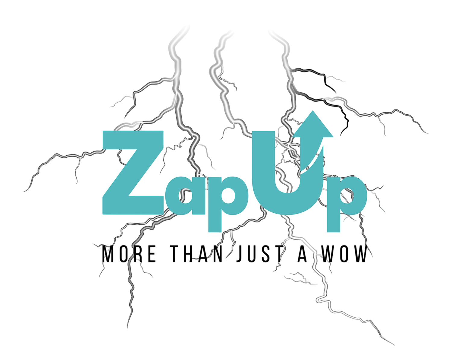 ZapUp LLC