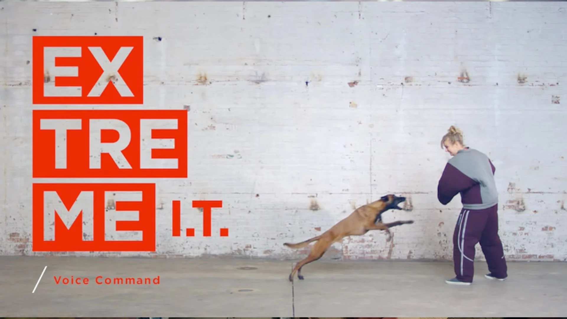 Lenovo | Extreme IT | Voice Commands