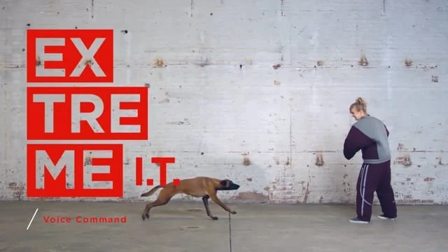 Lenovo | Extreme IT | Voice Commands