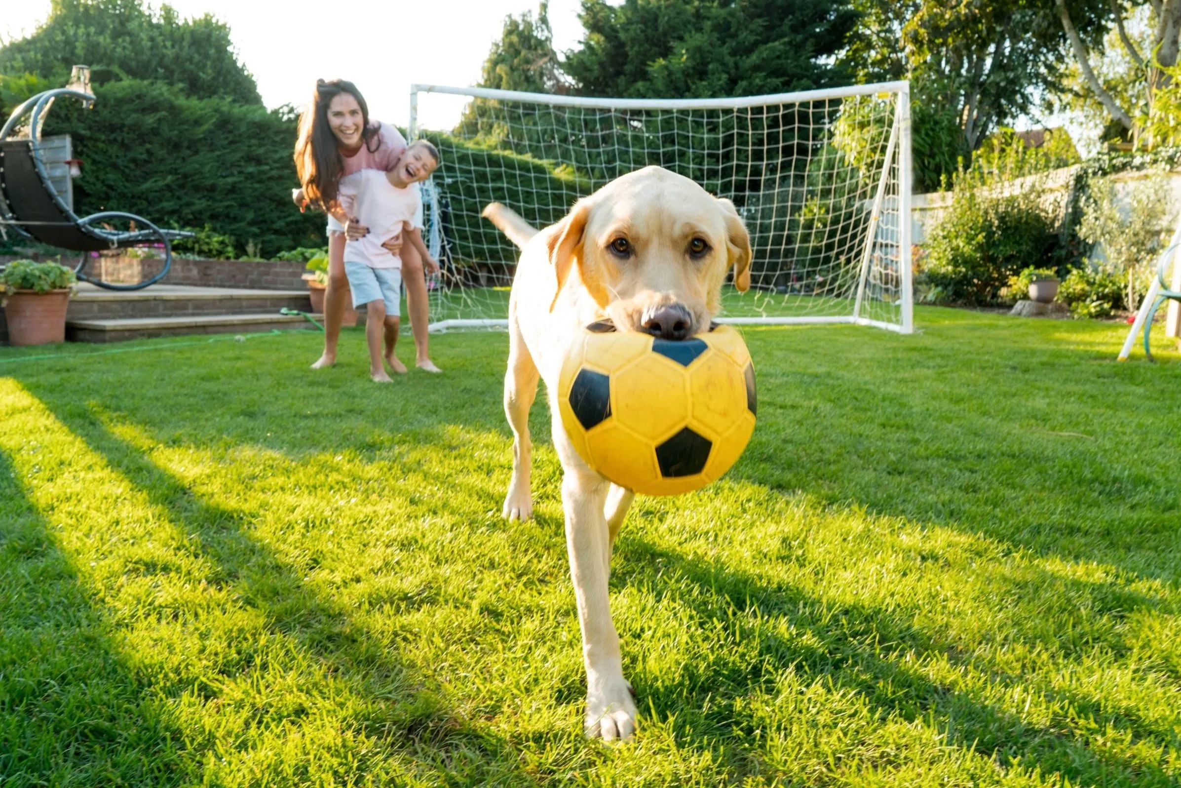 Kids and dog enjoying a healthy Boulder lawn maintained with pet-friendly treatments and organic fertilizer options