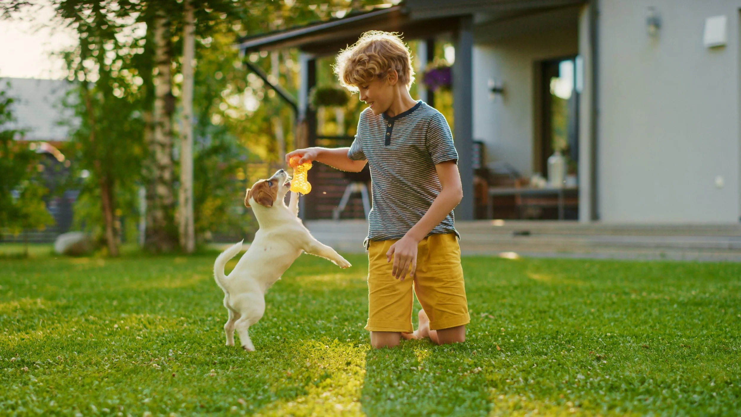 Lawn care and professional weed removal near Boulder. Pet-friendly weed removal and weed removal near Superior. Lawn care and professional weed removal near Golden. Pet-friendly weed removal and weed removal near Lafayette..