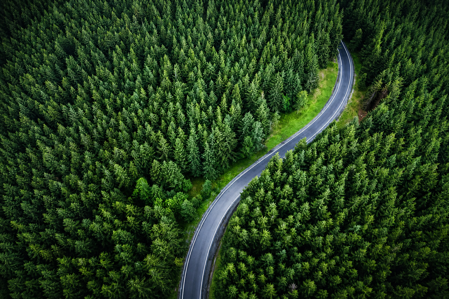 Embrace Your Journey