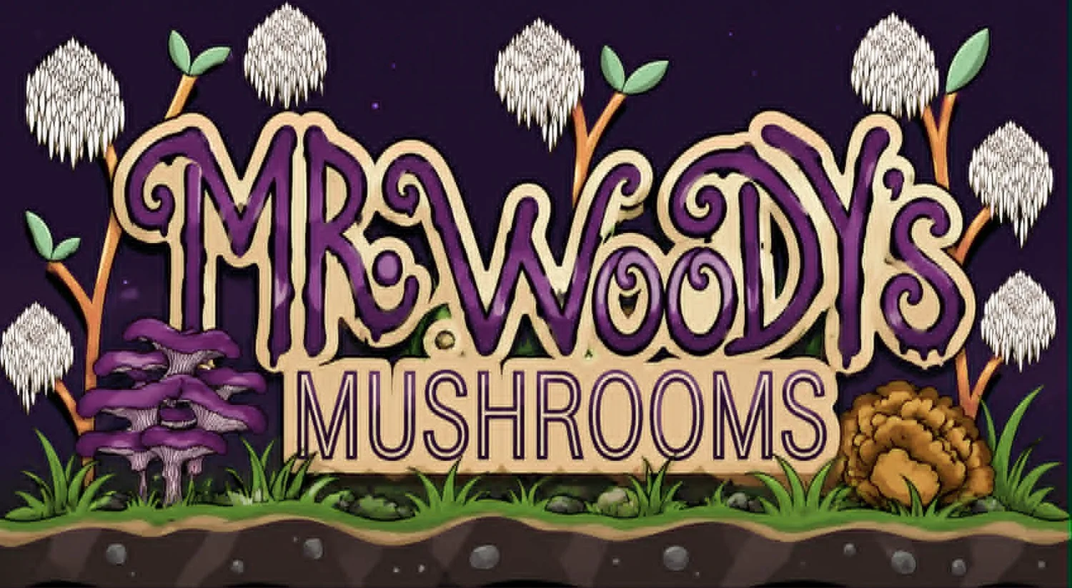 MR WOODYS MUSHROOM