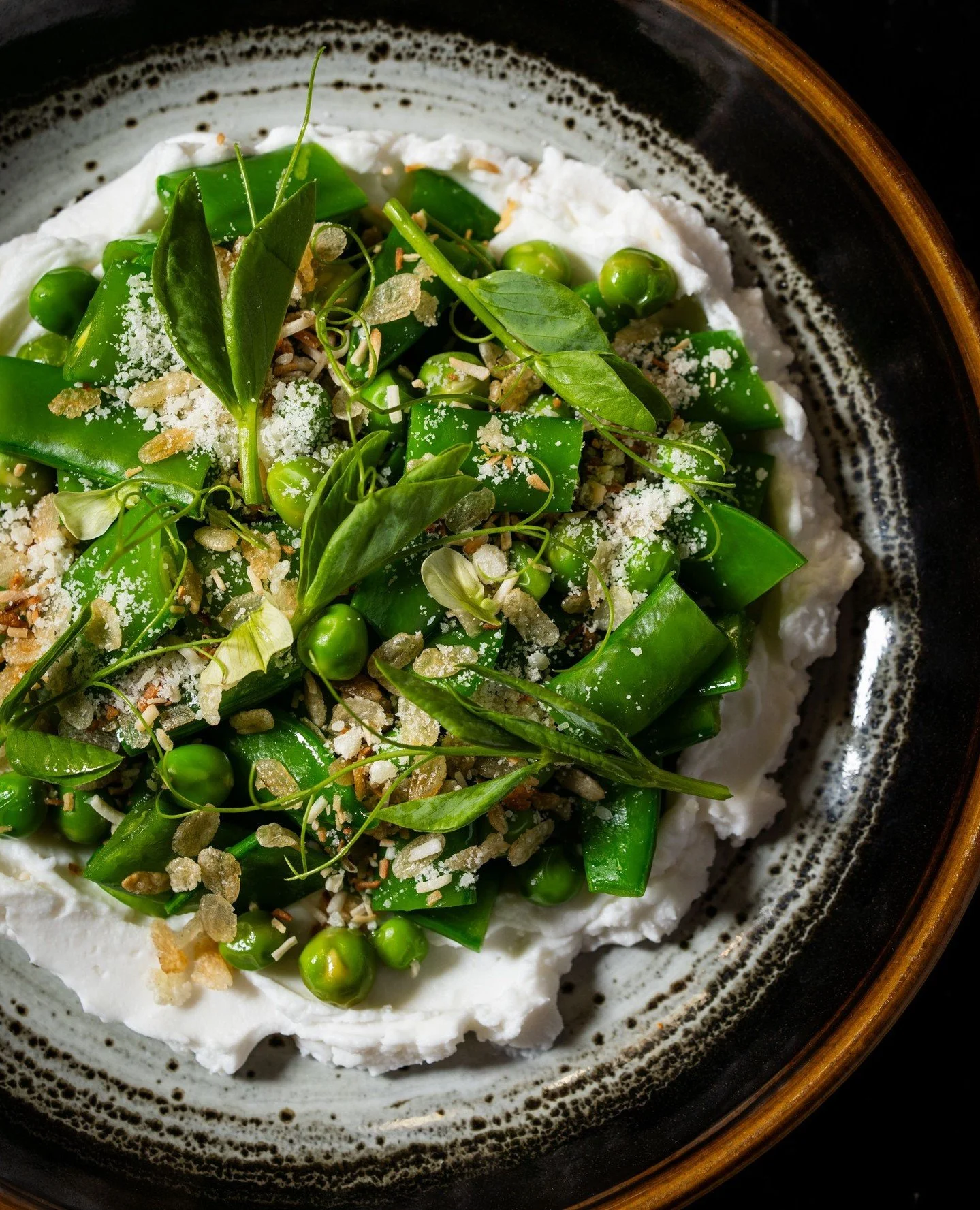 Back in rotation, two returning favorites.⁠
⁠
Spring Pea Salad | lime leaf vinaigrette, coconut cream, fresh mint, toasted coconut, pinipig⁠
⁠
Crispy Pig Ears | sweet tamarind, bean sprout, garlic chives, fried tofu
