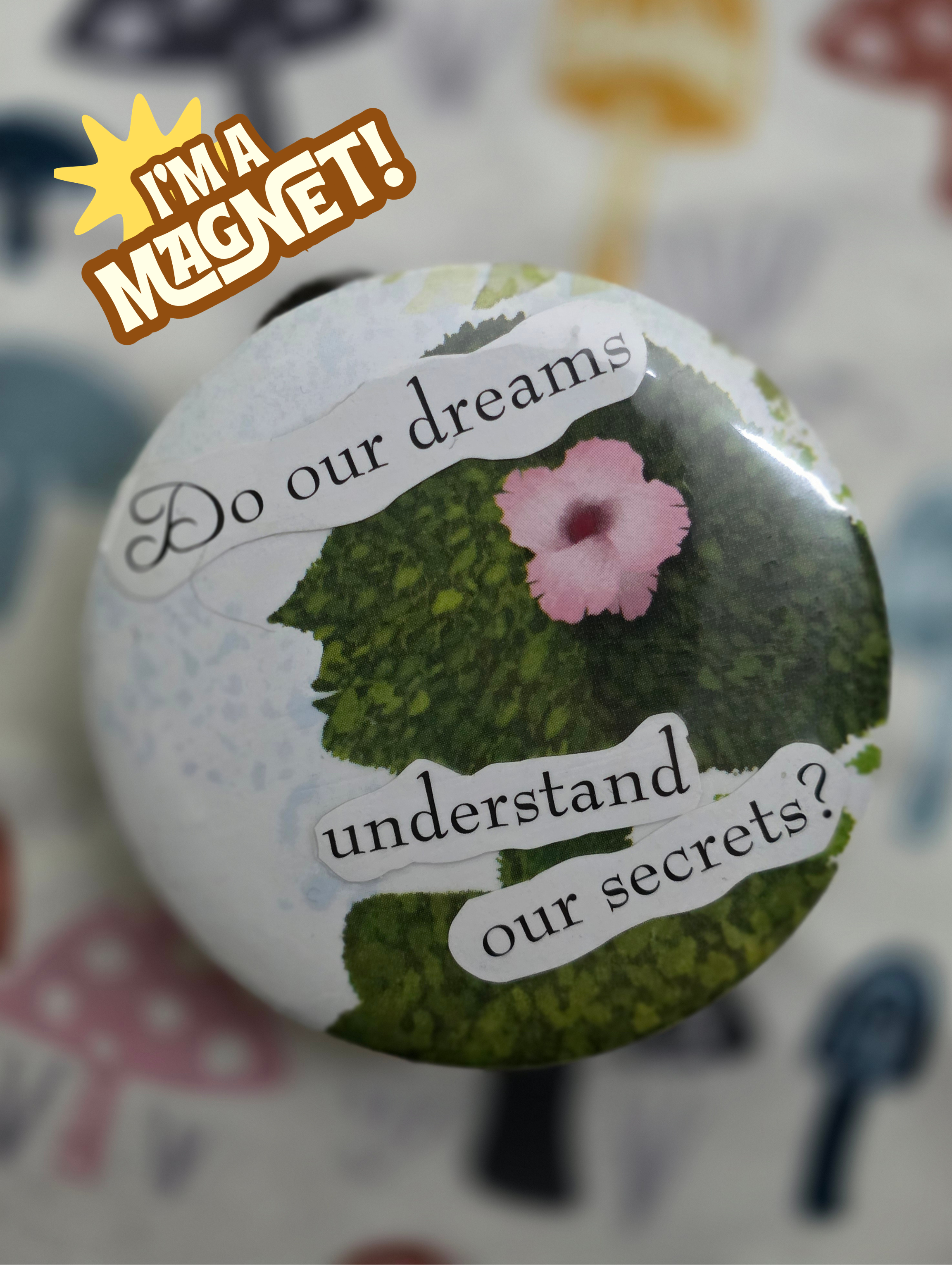Do Dreams Understand our Secrets? Magnet