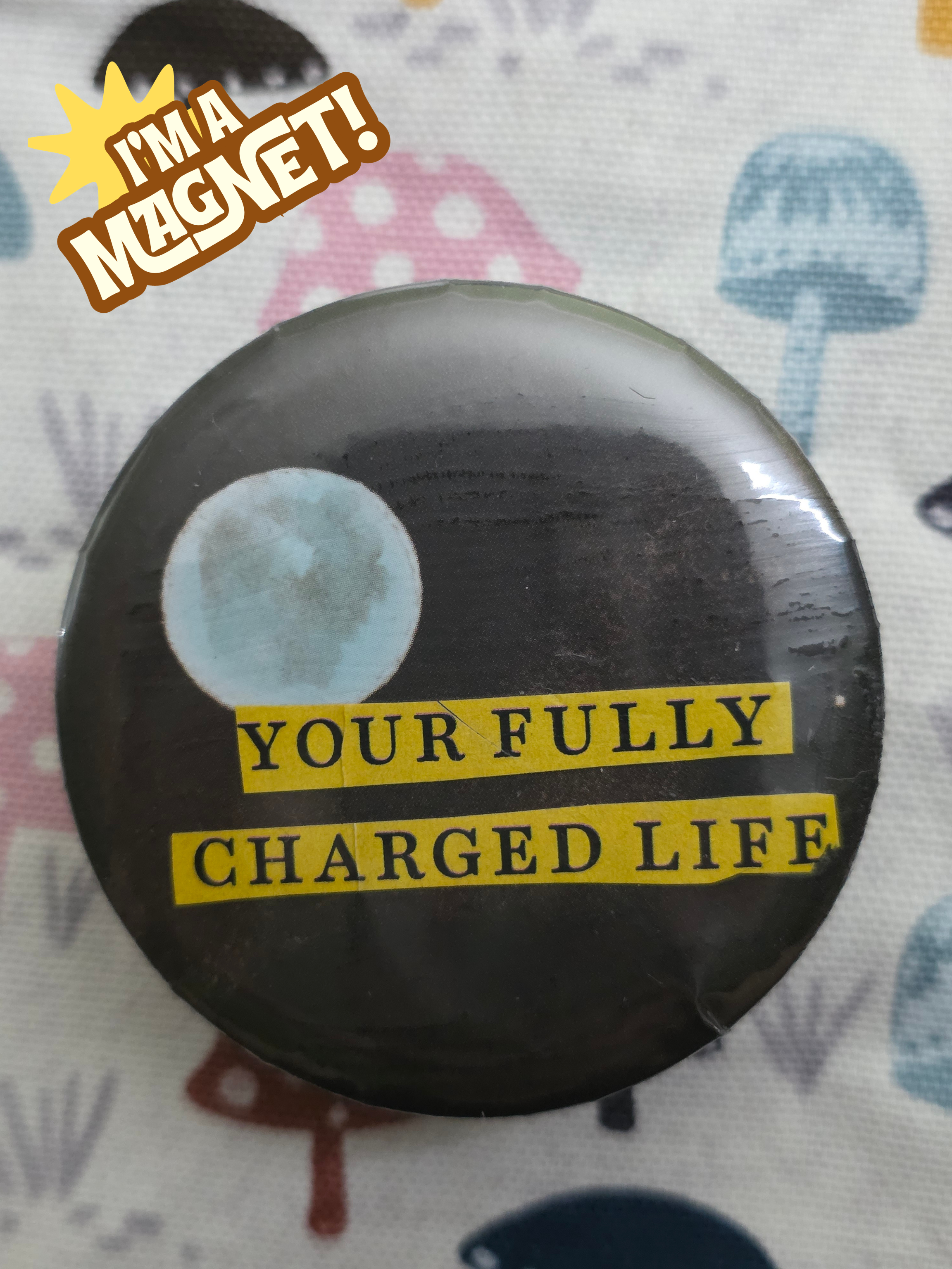 Fully Charged Life Magnet