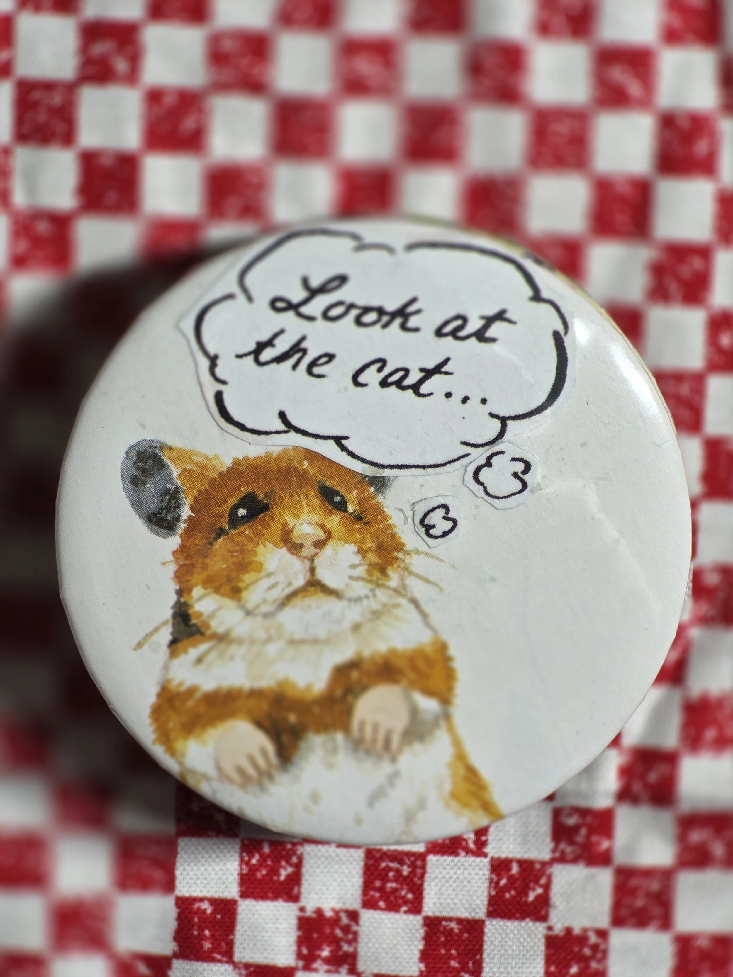 Scaredy Hamster Pin