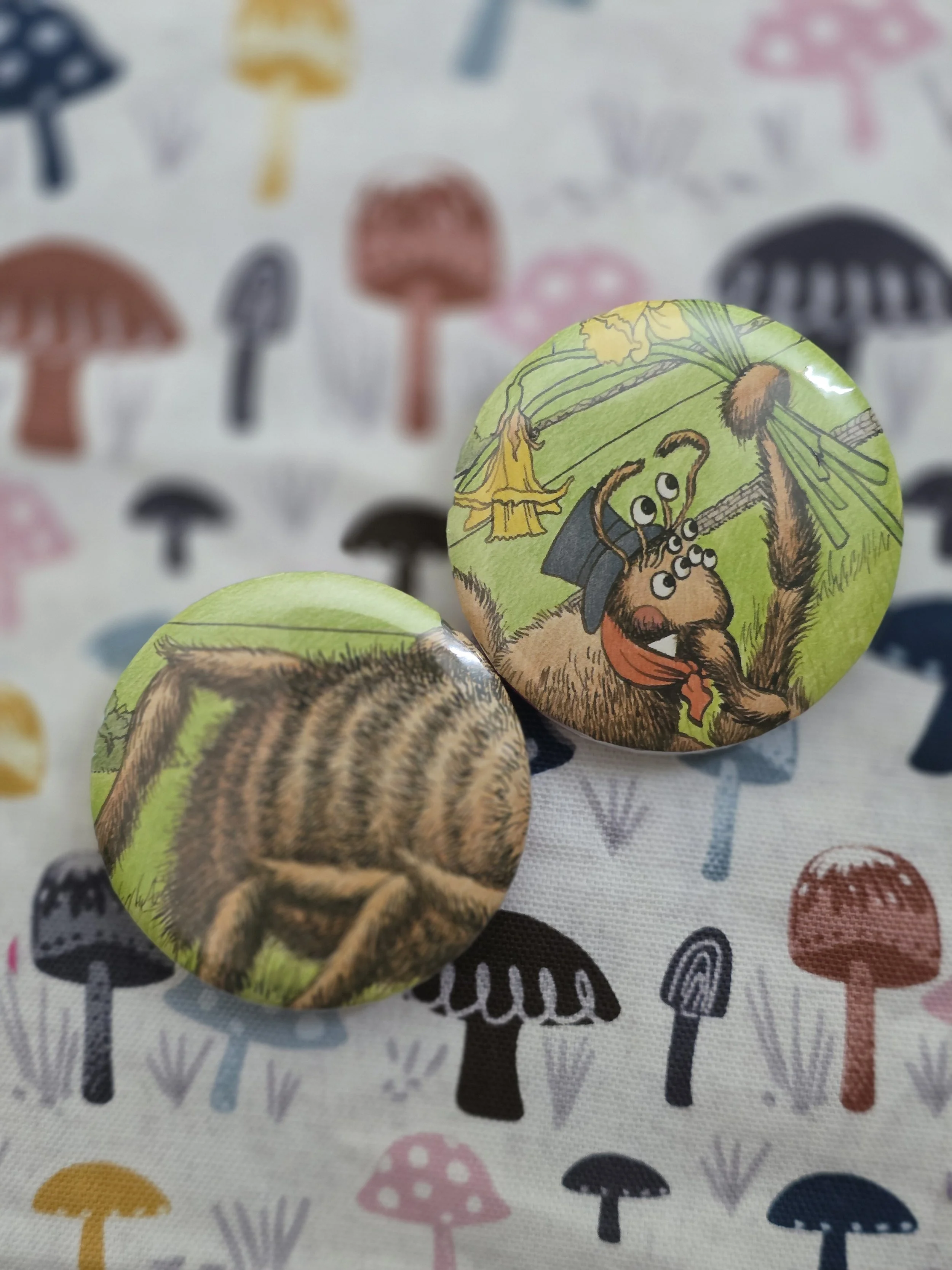 Gentle Spider Magnet Set