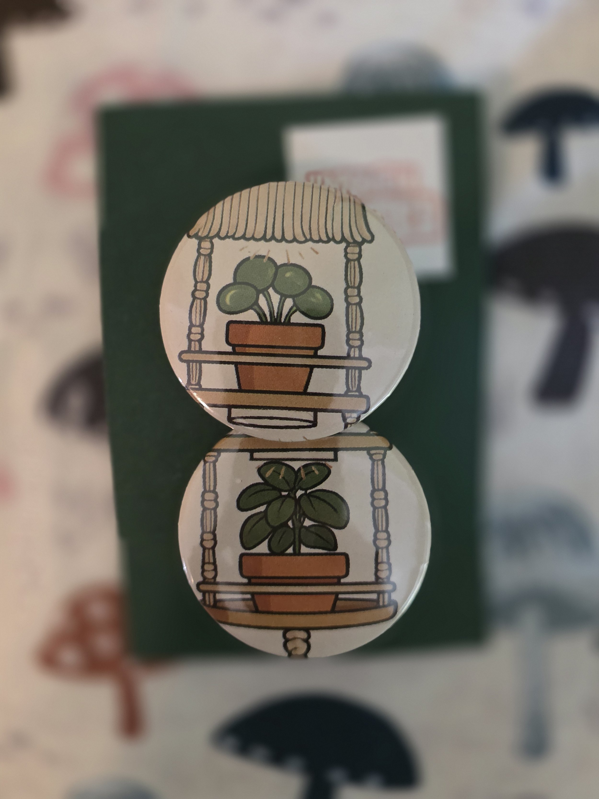 Little Sparks Houseplant.Set