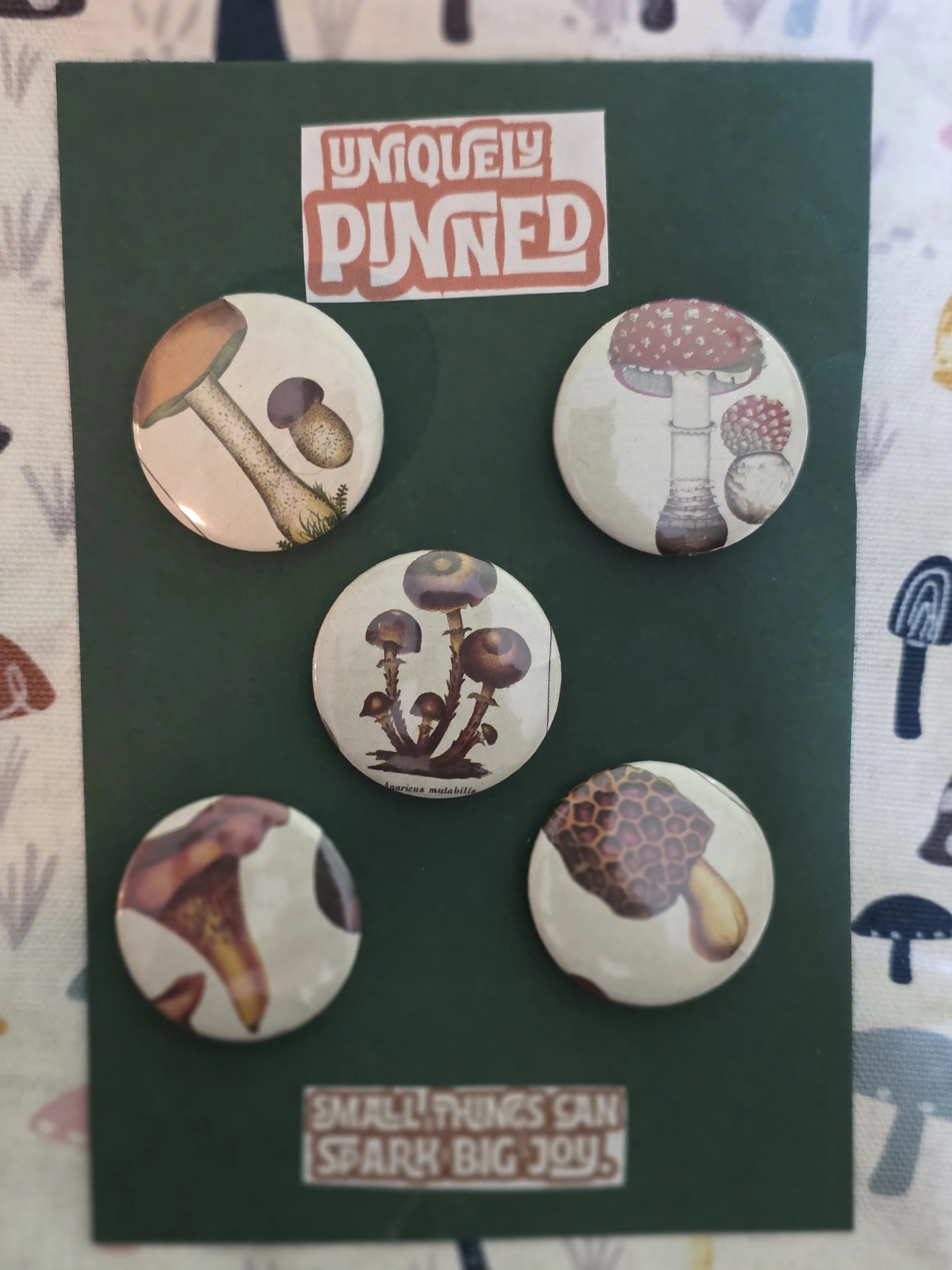 Little Sparks Mushroom Varieties Set