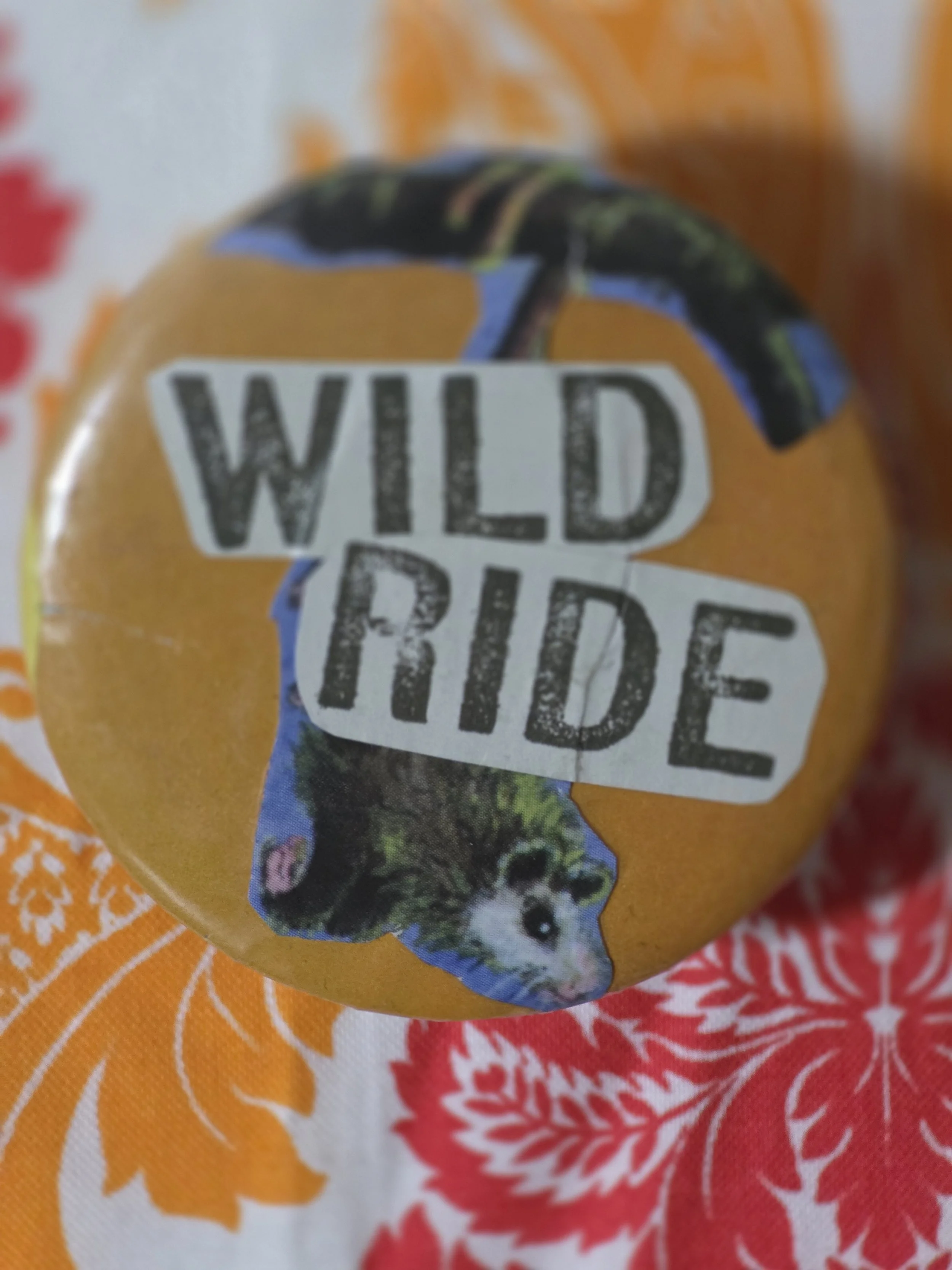 Wild Ride Pin