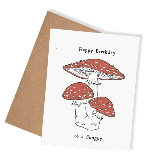 HB.webp