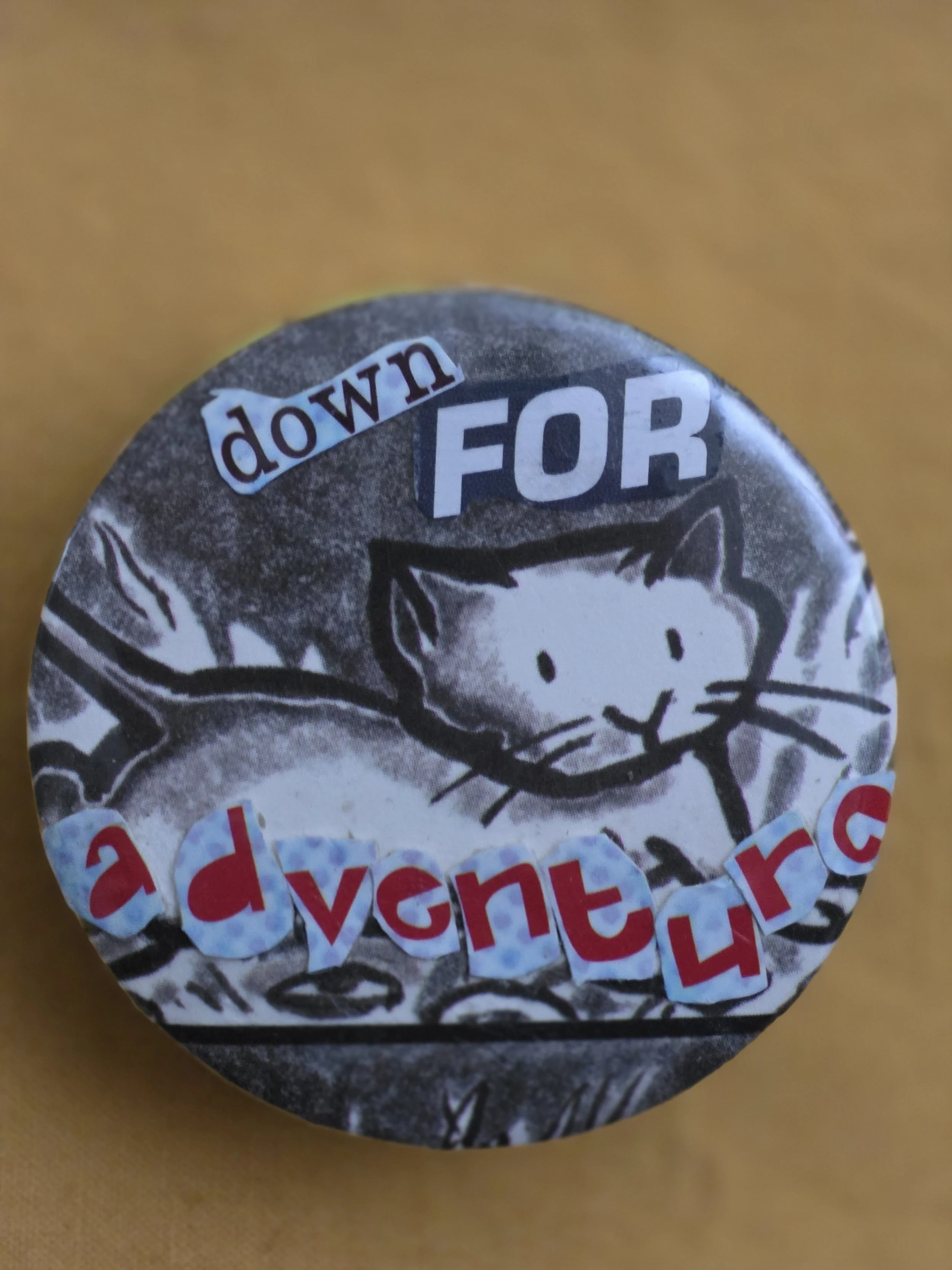 Down for Adventure Pin
