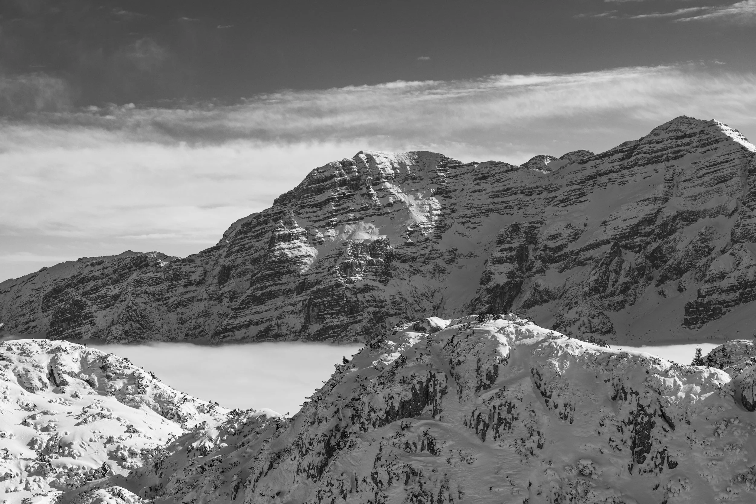 00011_AH20230126_035-002.jpg