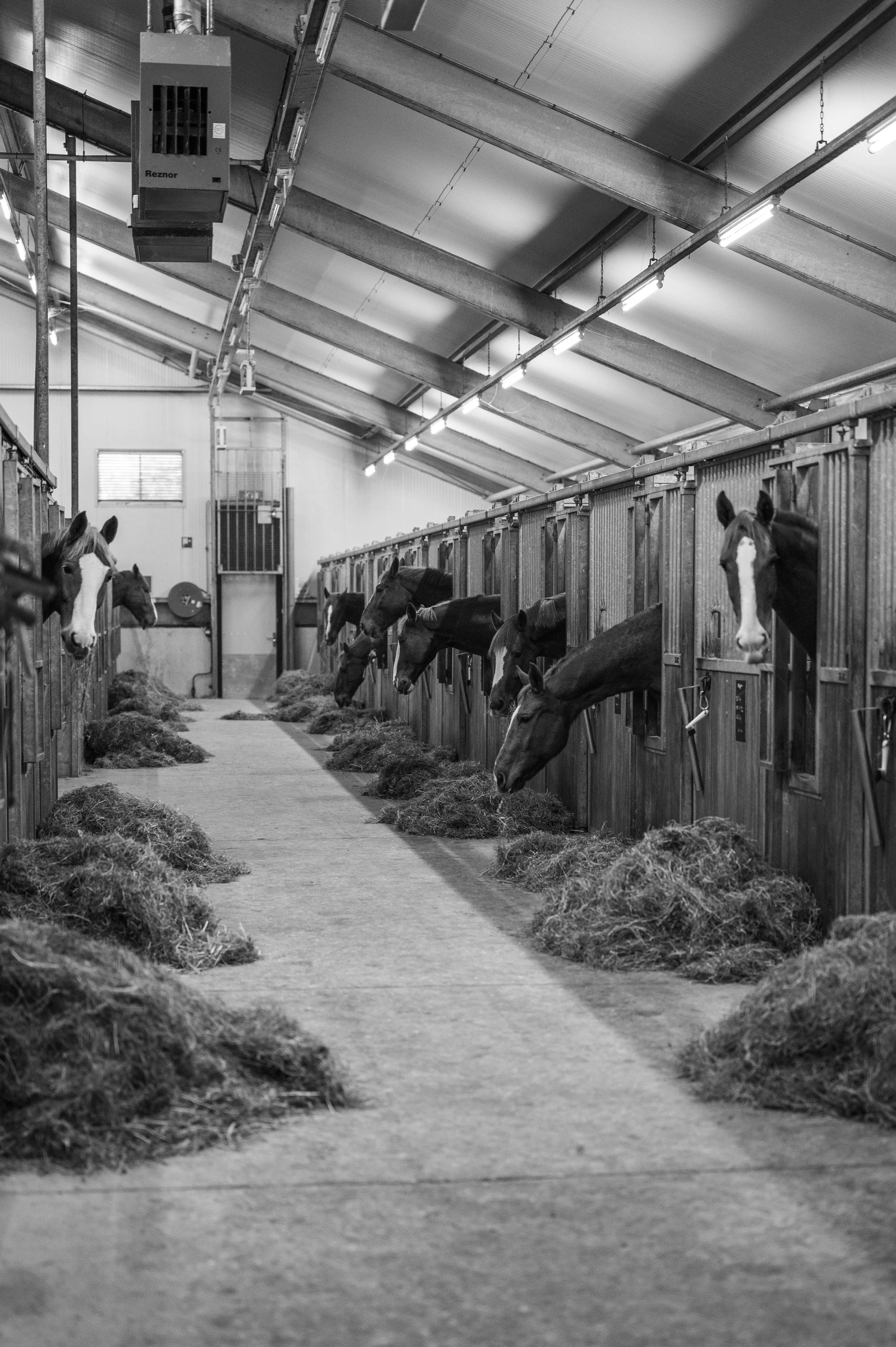 The Military Stables